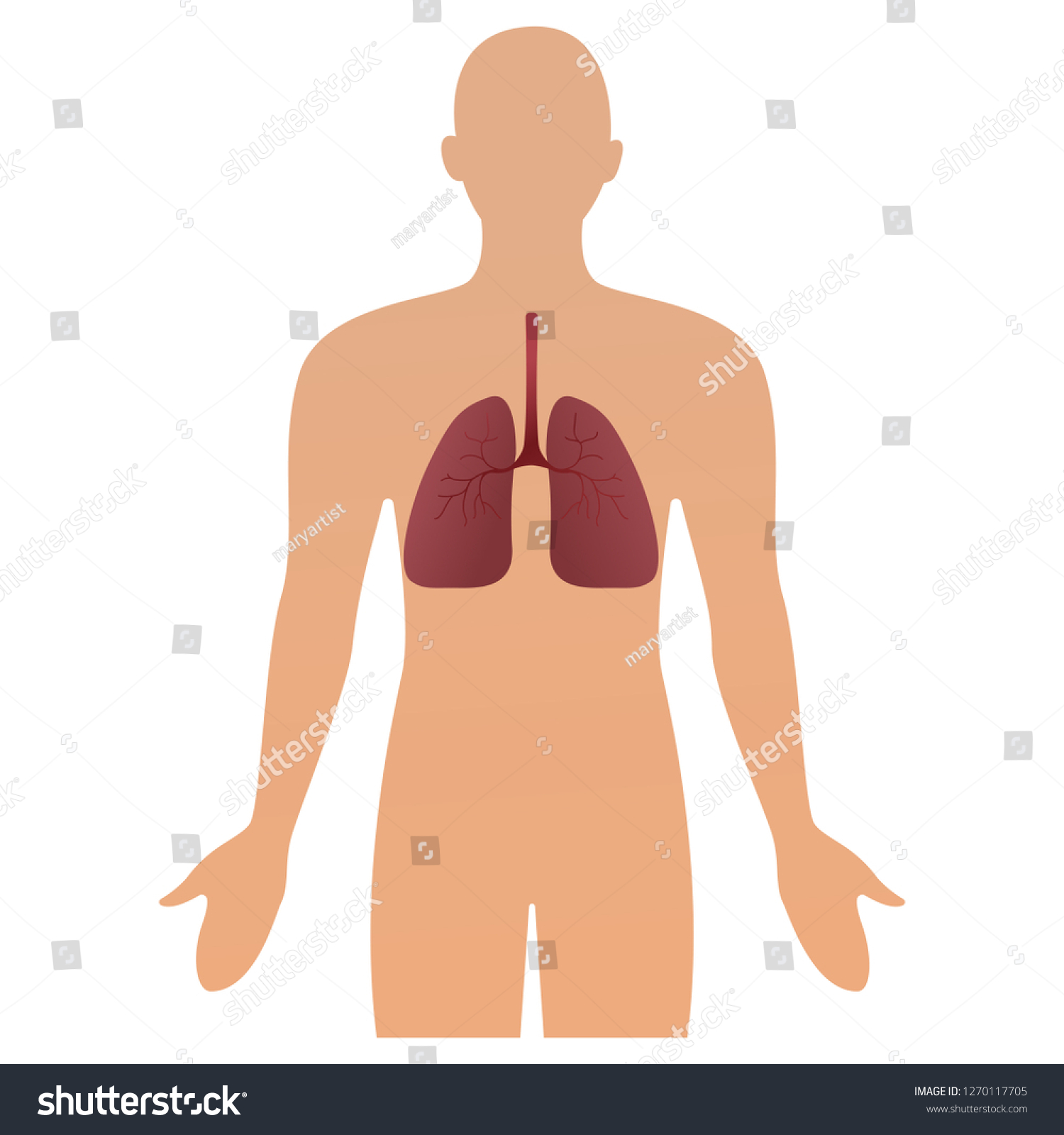 Human Silhouette Inflamed Respiratory System Lungs Vector De Stock