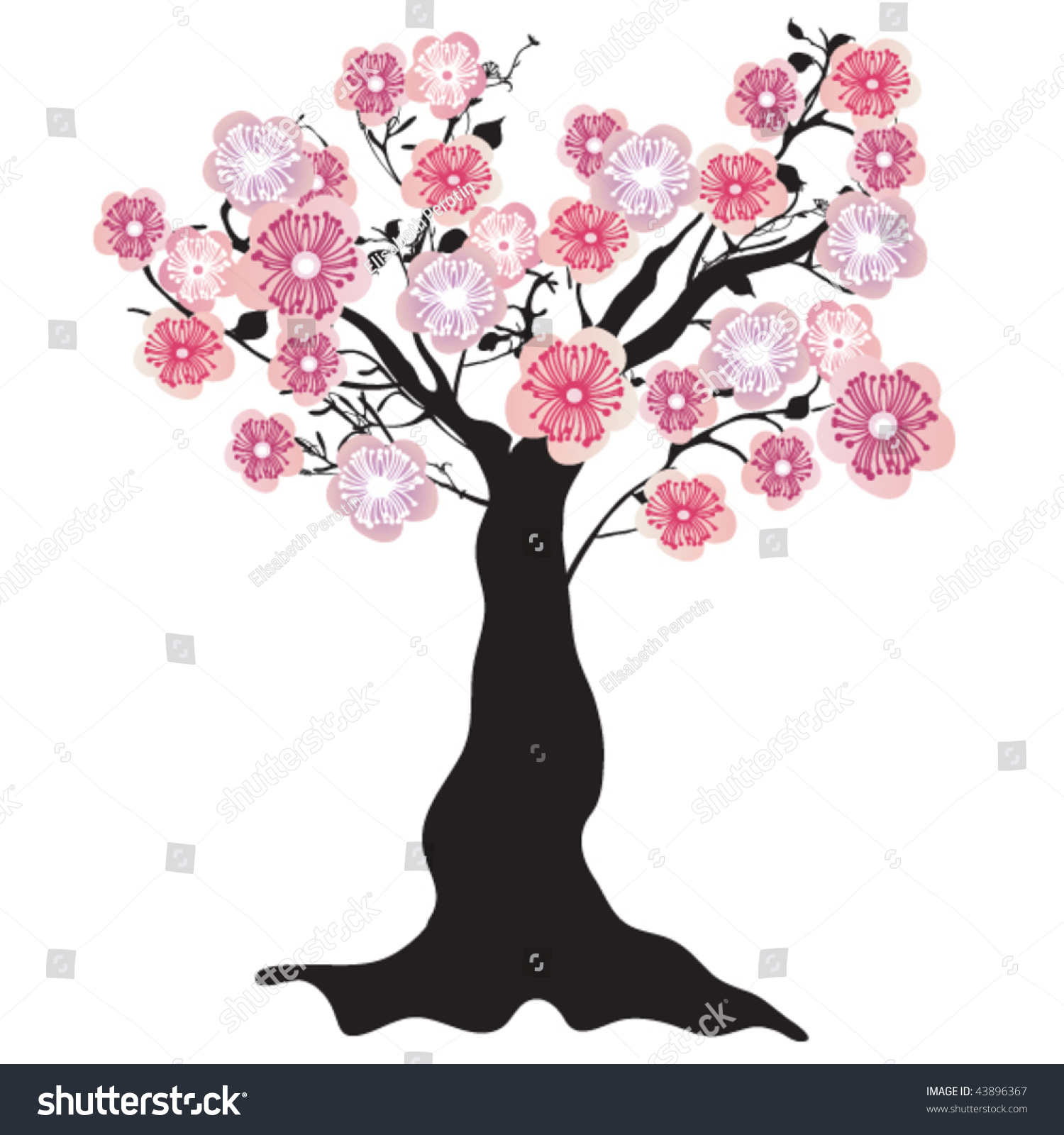 Illustration Of A Cherry Blossom Tree - 43896367 : Shutterstock