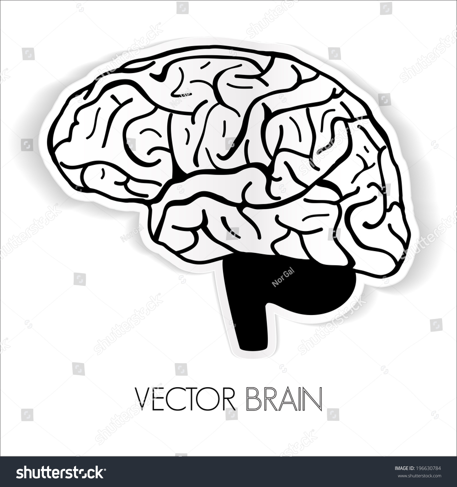 Illustration Of Human Brain Vector Graphic Shutterstock