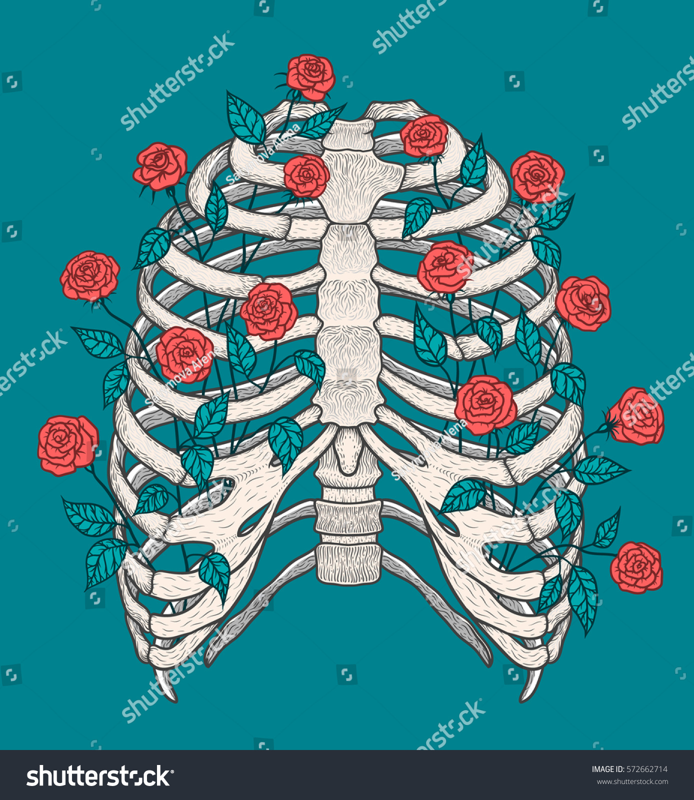 Illustration Human Rib Cage Roses Line Stock Vector Royalty Free Shutterstock