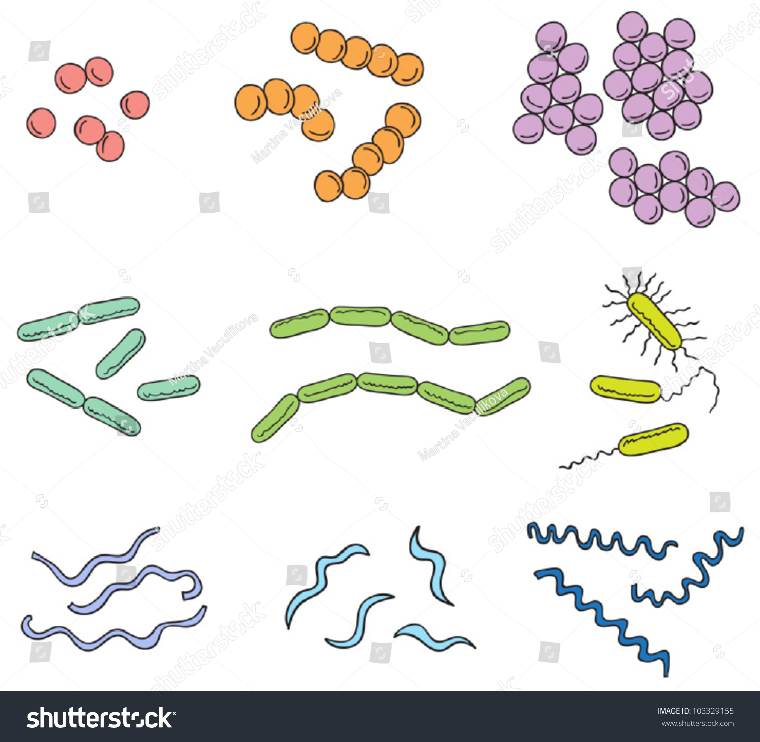 Illustration Many Types Bacteria Cartoon Style Stock Vector 103329155