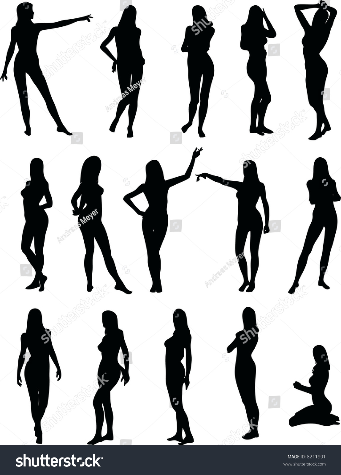 Illustration Of Sexy Woman Silhouettes 8211991 Shutterstock