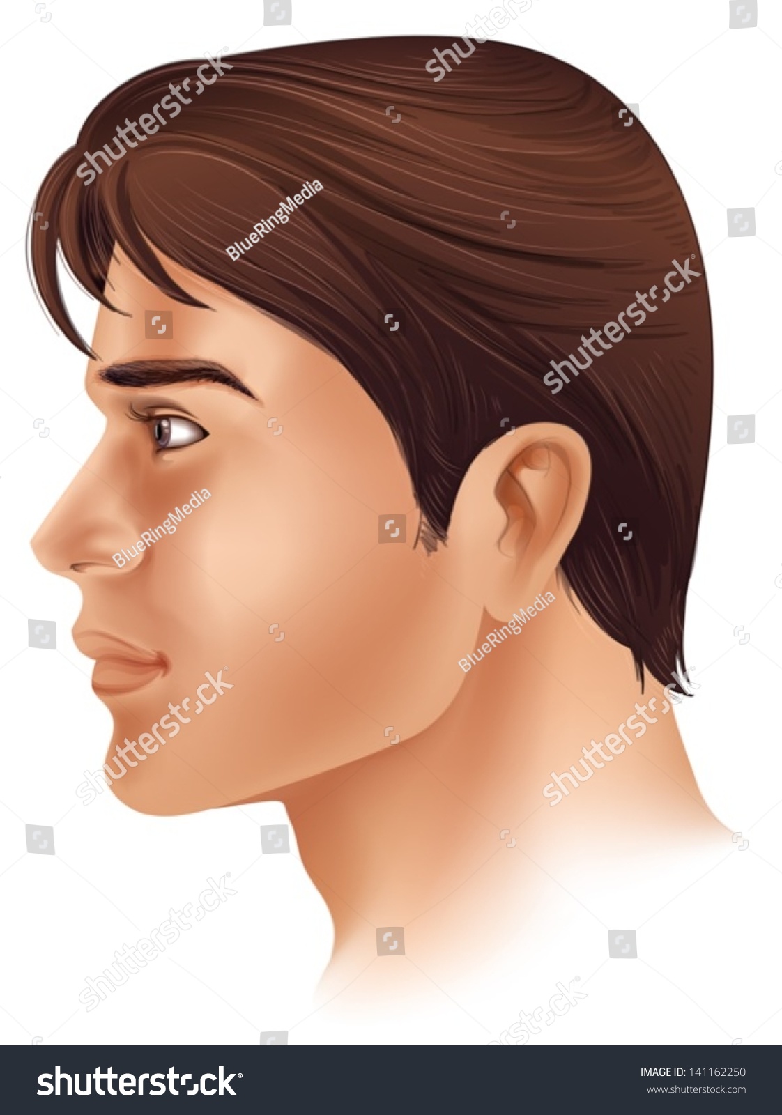 Illustration Showing Side View Mans Face Stock Vector 141162250