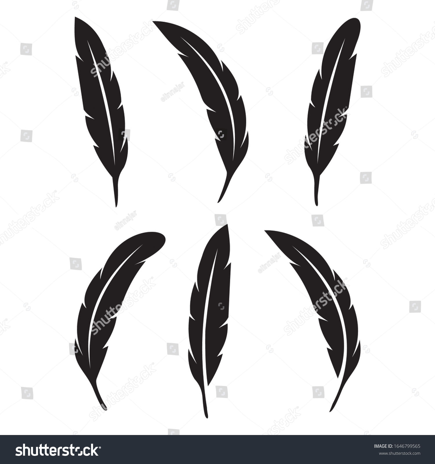 Image Icon Black Feather Vector Stock Vector Royalty Free 1646799565