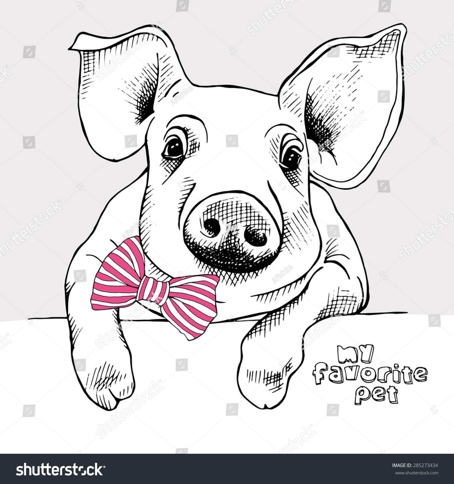 Image Of A Small Pig With A Bow. Vector Illustration. 285273434