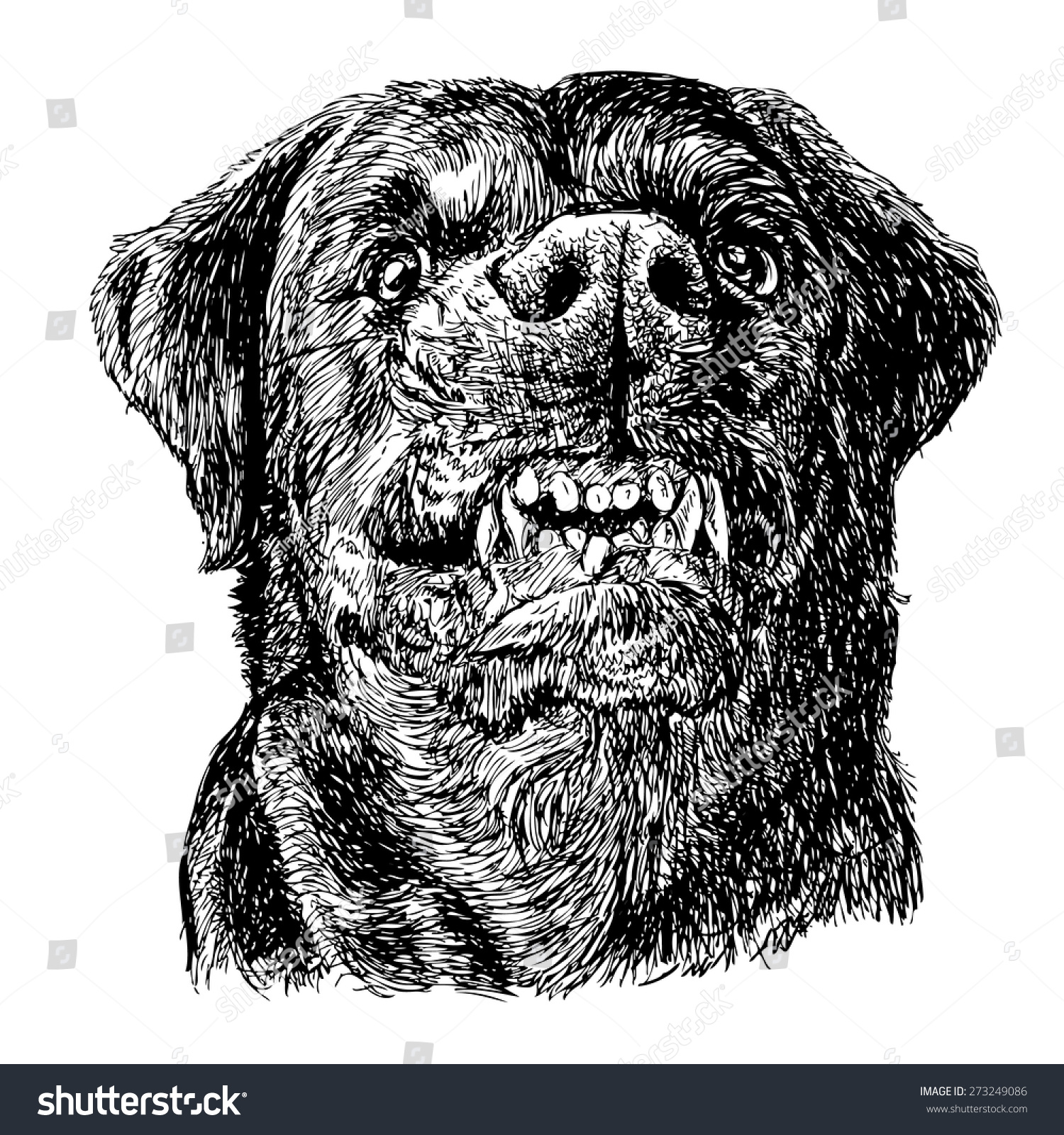 Image Angry Rottweiler Hand Drawn Vector Stock Vector 273249086