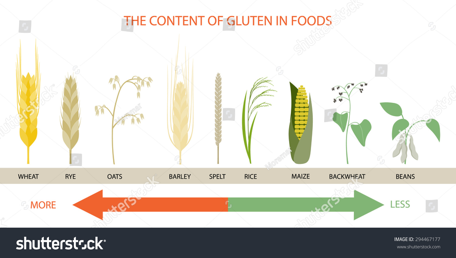 Infographics On The Levels Of Gluten In Foods Stock Vector Illustration 294467177 Shutterstock 5815