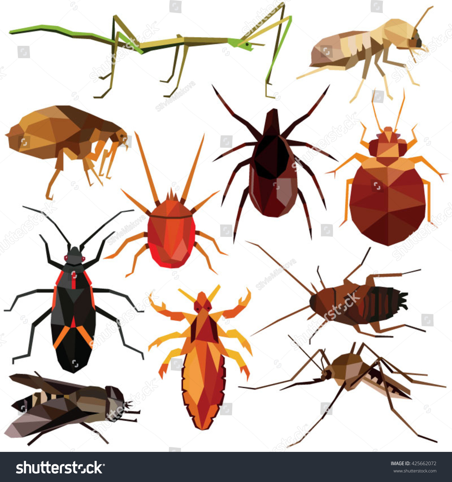 Insect Set Colorful Low Poly Parasite Designs Isolated On White ...