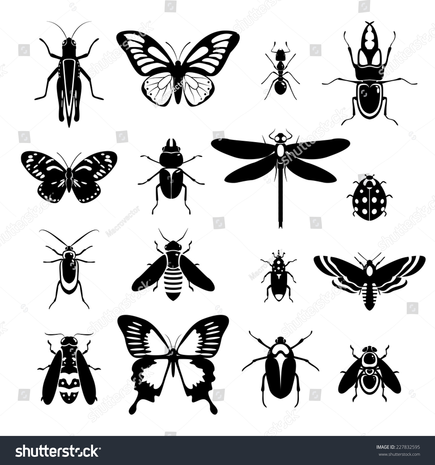 clipart insects black and white - photo #39