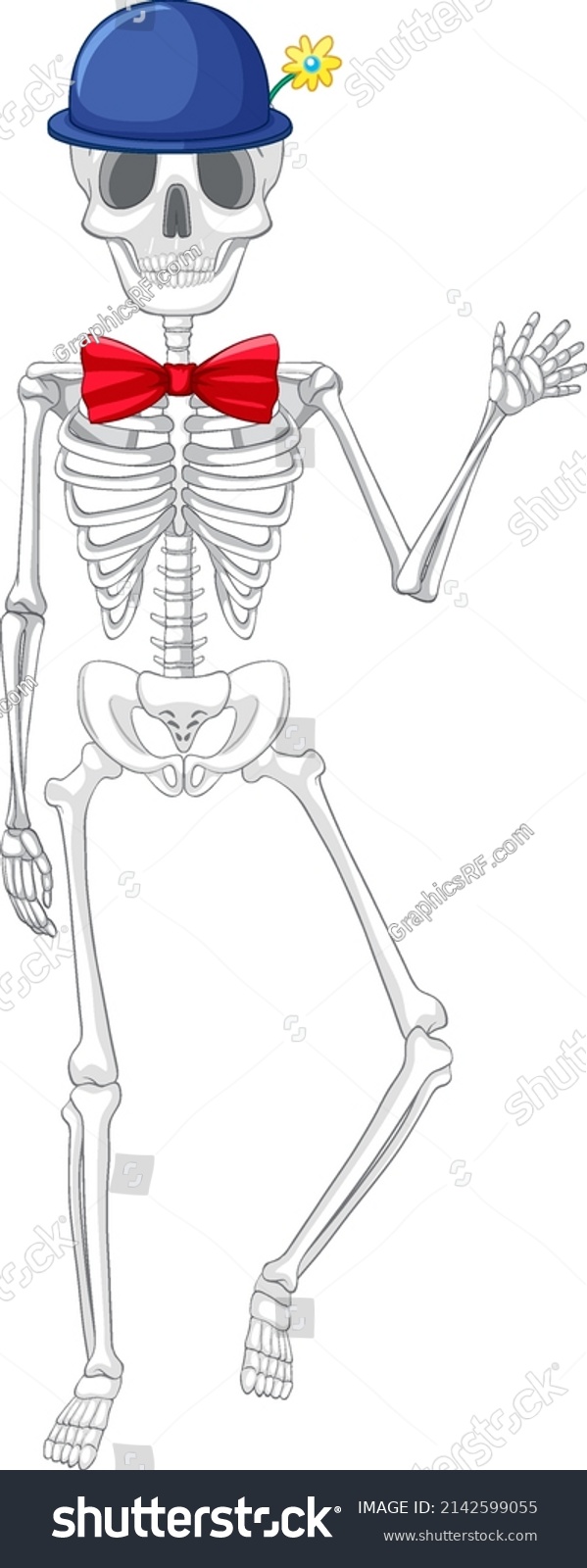 Isolated Human Skeleton Anatomy Illustration Stock Vector Royalty Free