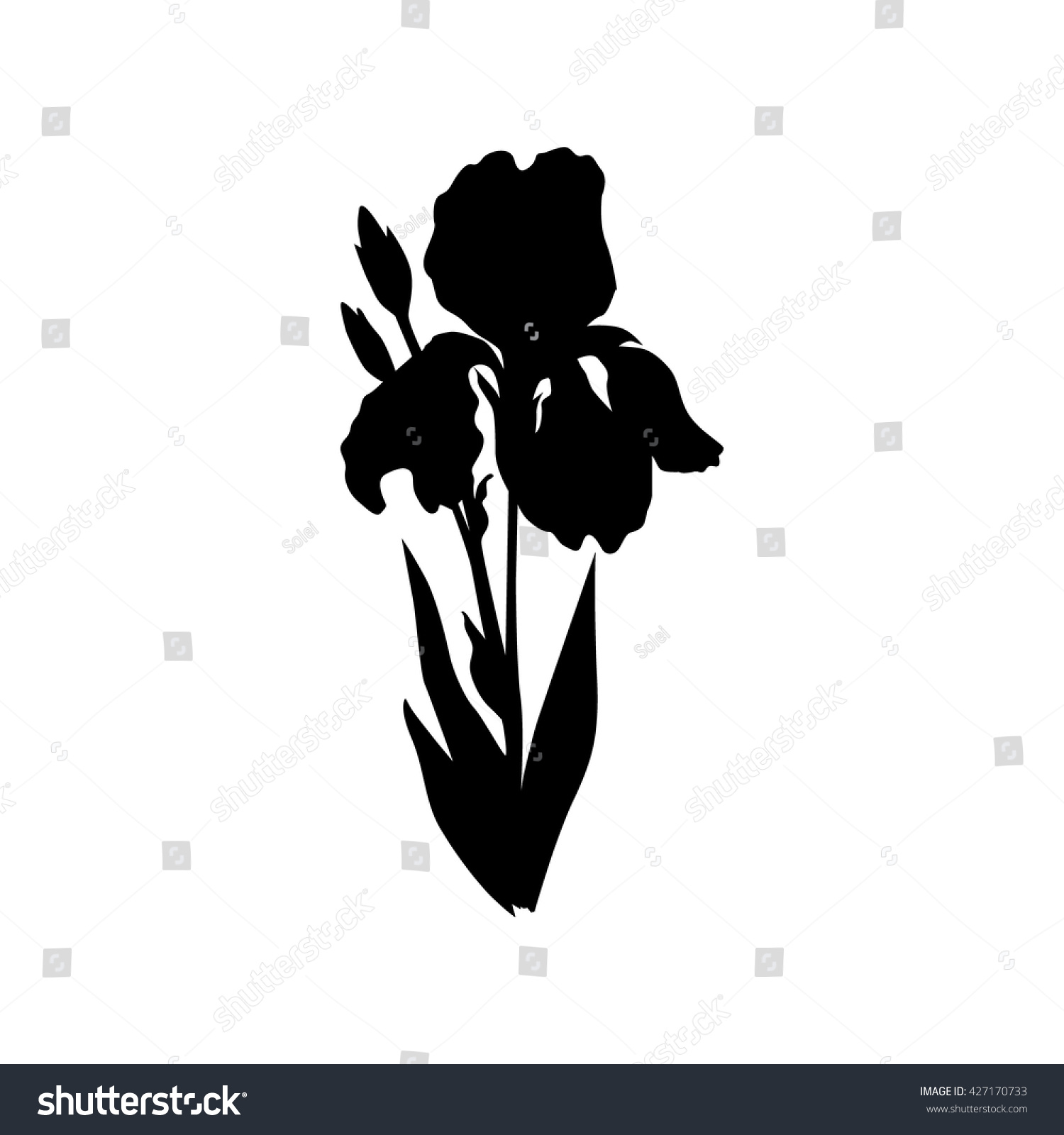 Isolated Iris Flower Silhouette Stock Vector 427170733 Shutterstock