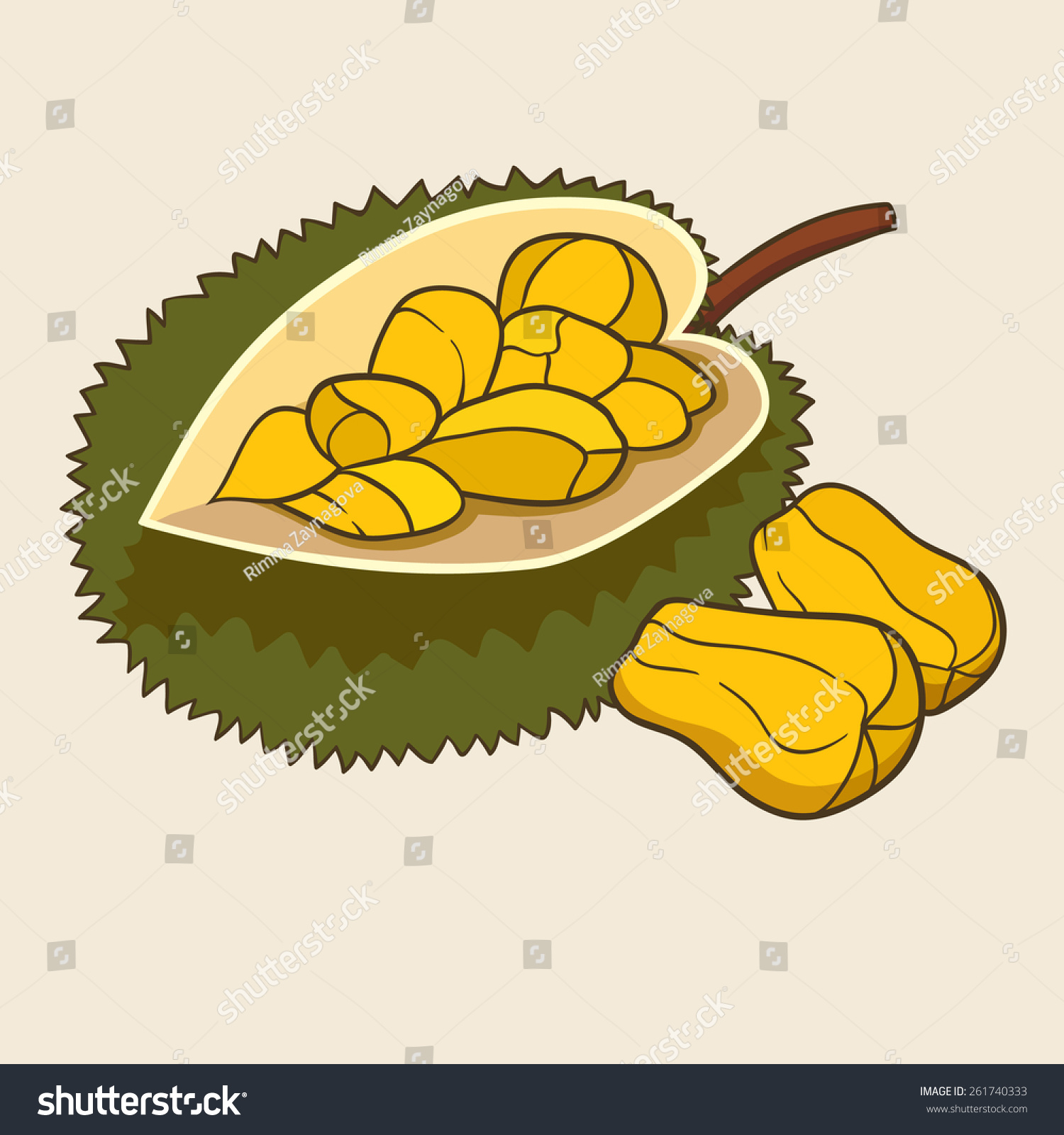 Jackfruit Vector Illustration Exotic Fruit Hand Drawn Style Shutterstock