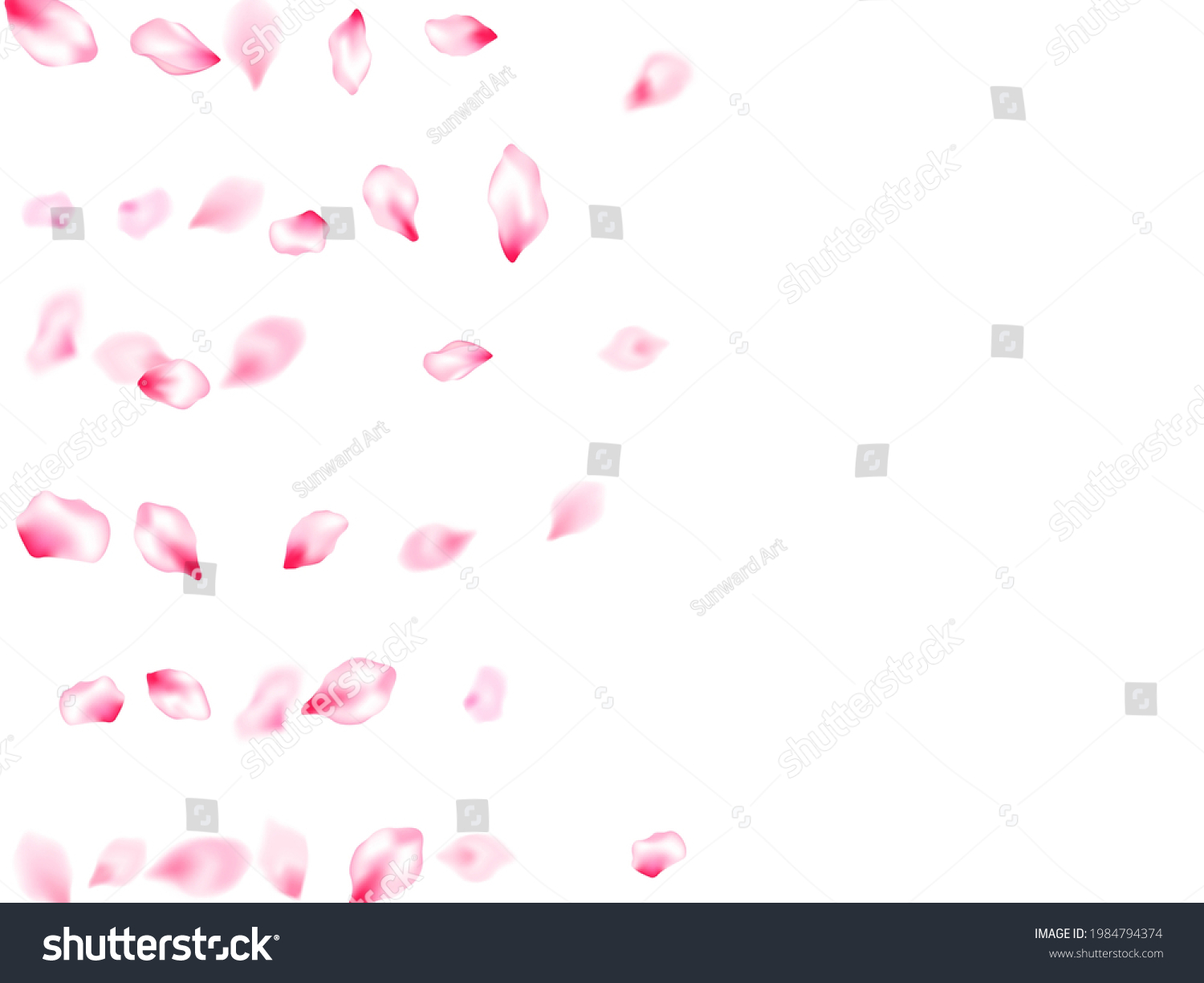 Japanese Cherry Blossom Pink Flying Petals Stock Vector Royalty Free