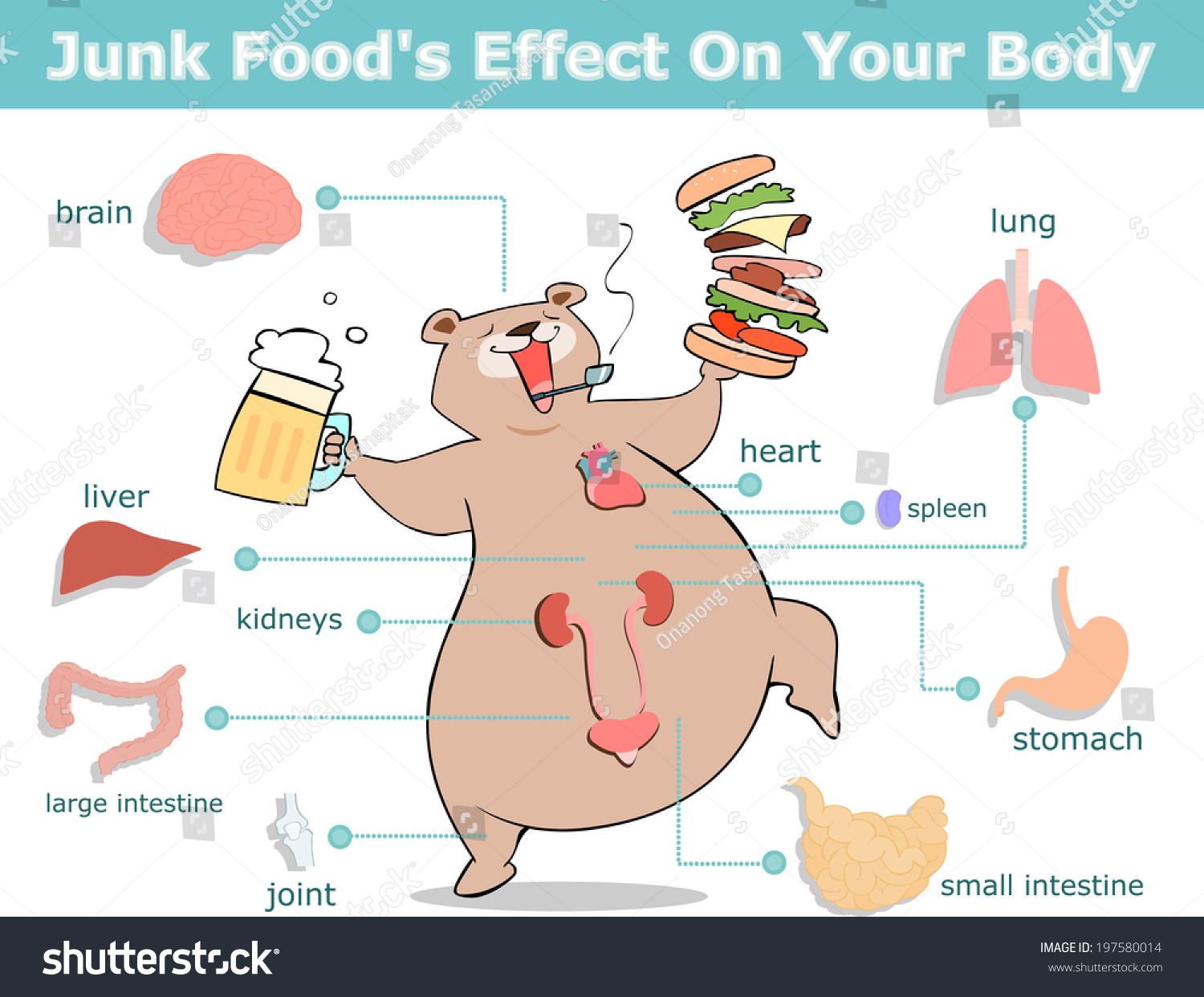 Fast Food Nutrition: Junk Food's Effect On Your Body