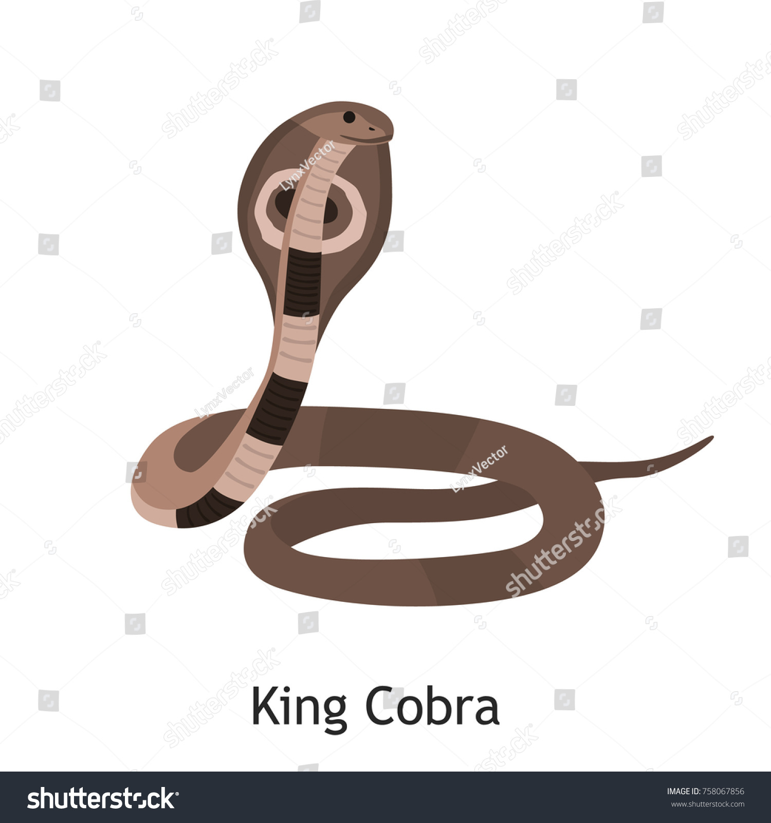 King Kobra Snake Color Flat Icon Stock Vector Royalty Free 758067856