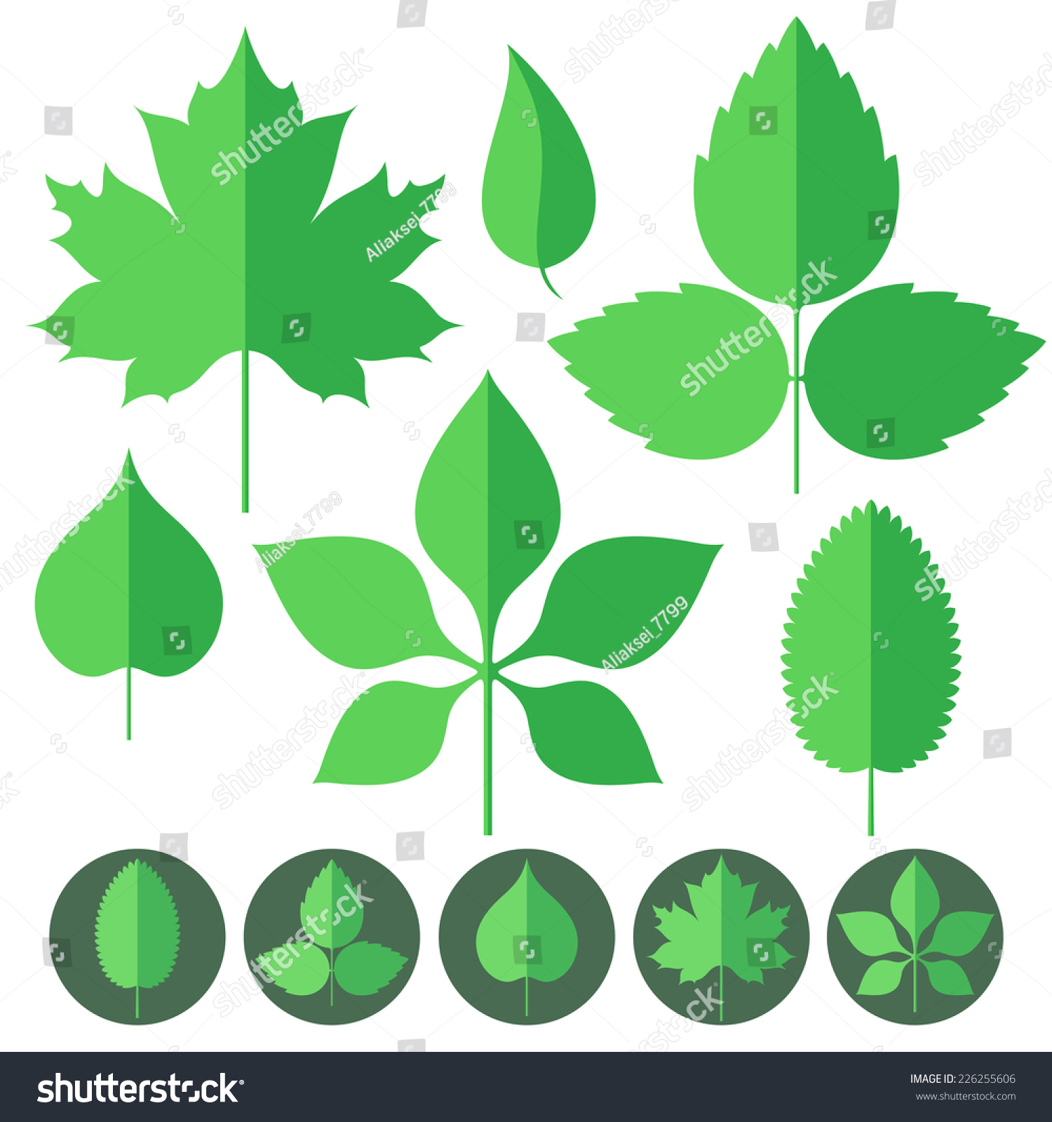 Leaf. Icon Set Stock Vector Illustration 226255606 : Shutterstock