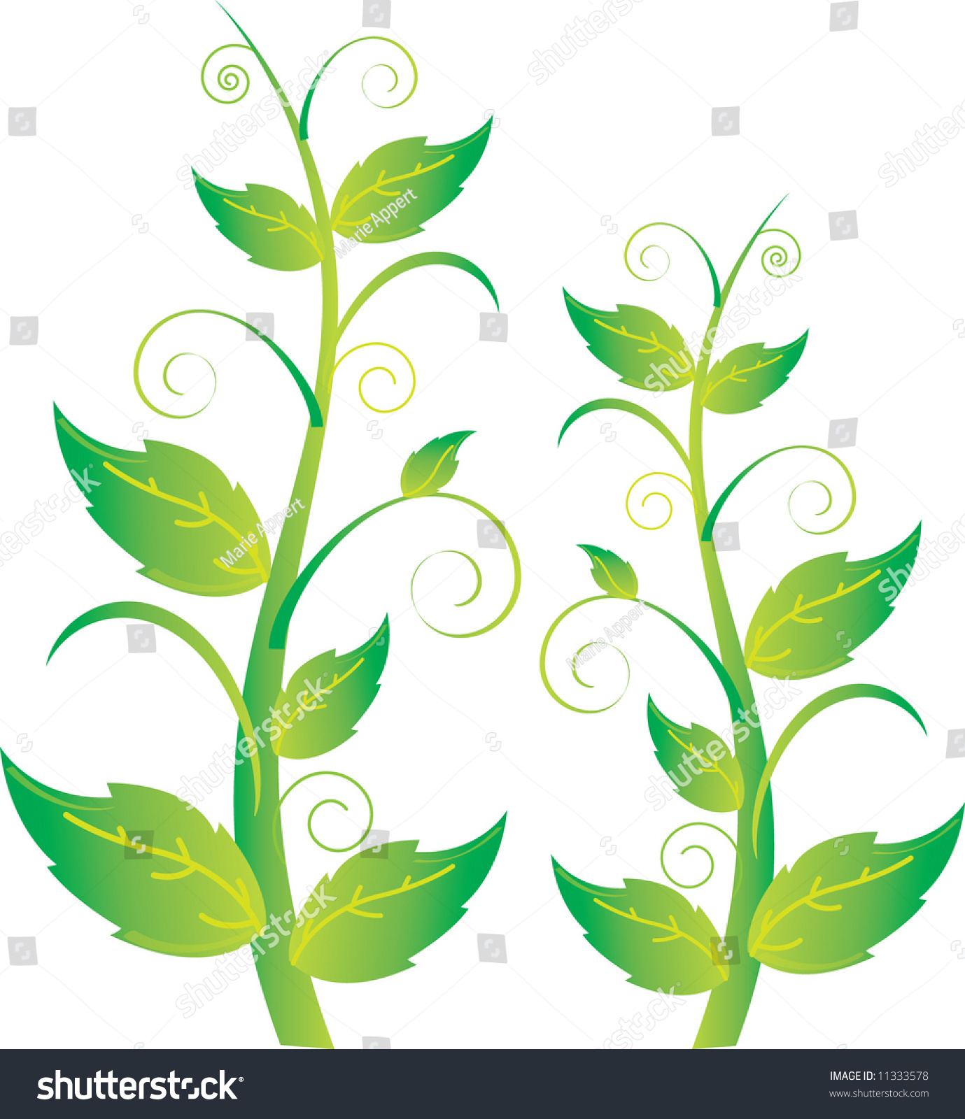 Leaves And Vines Stock Vector Illustration 11333578 : Shutterstock
