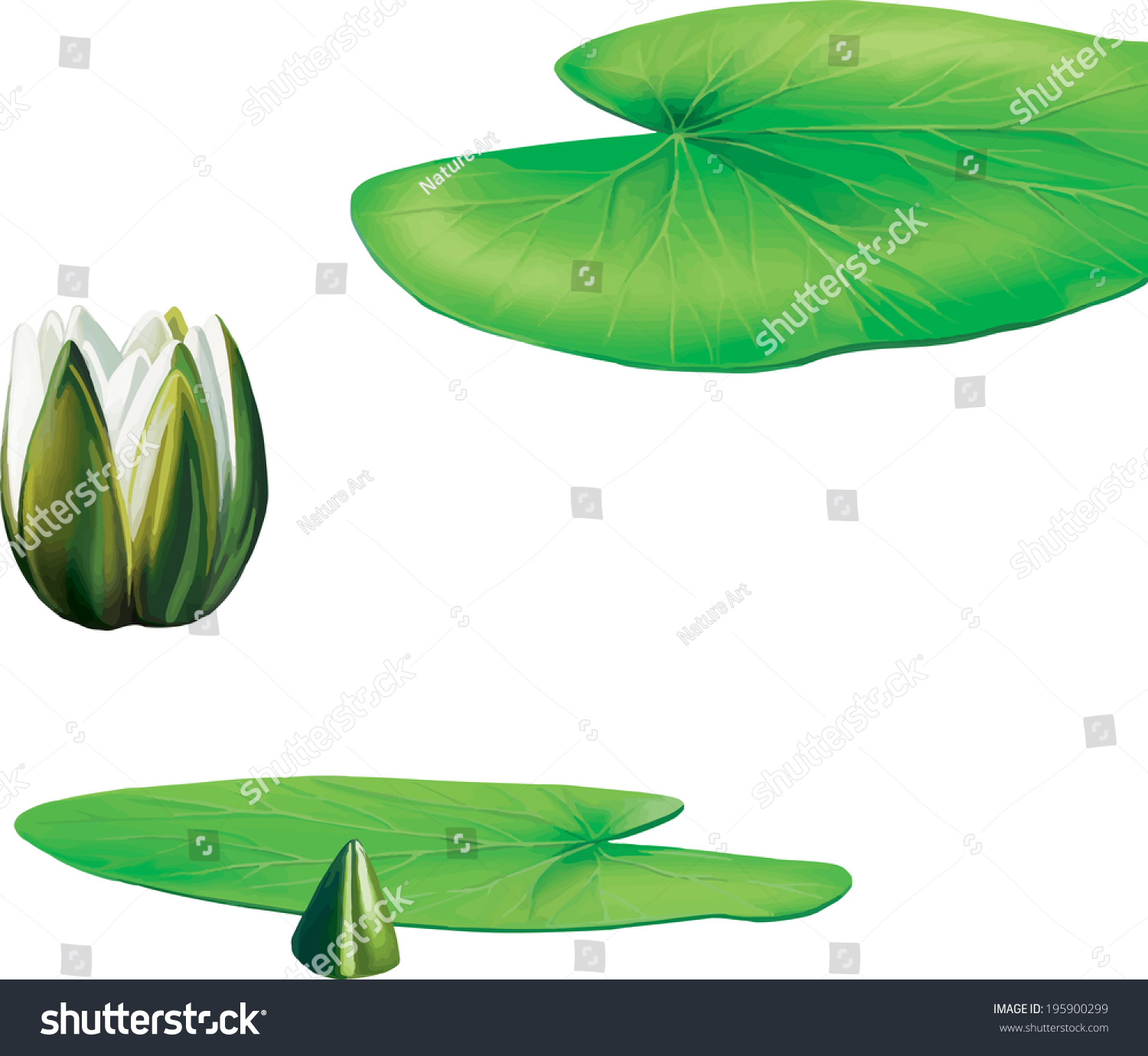 clip art lotus leaf - photo #10