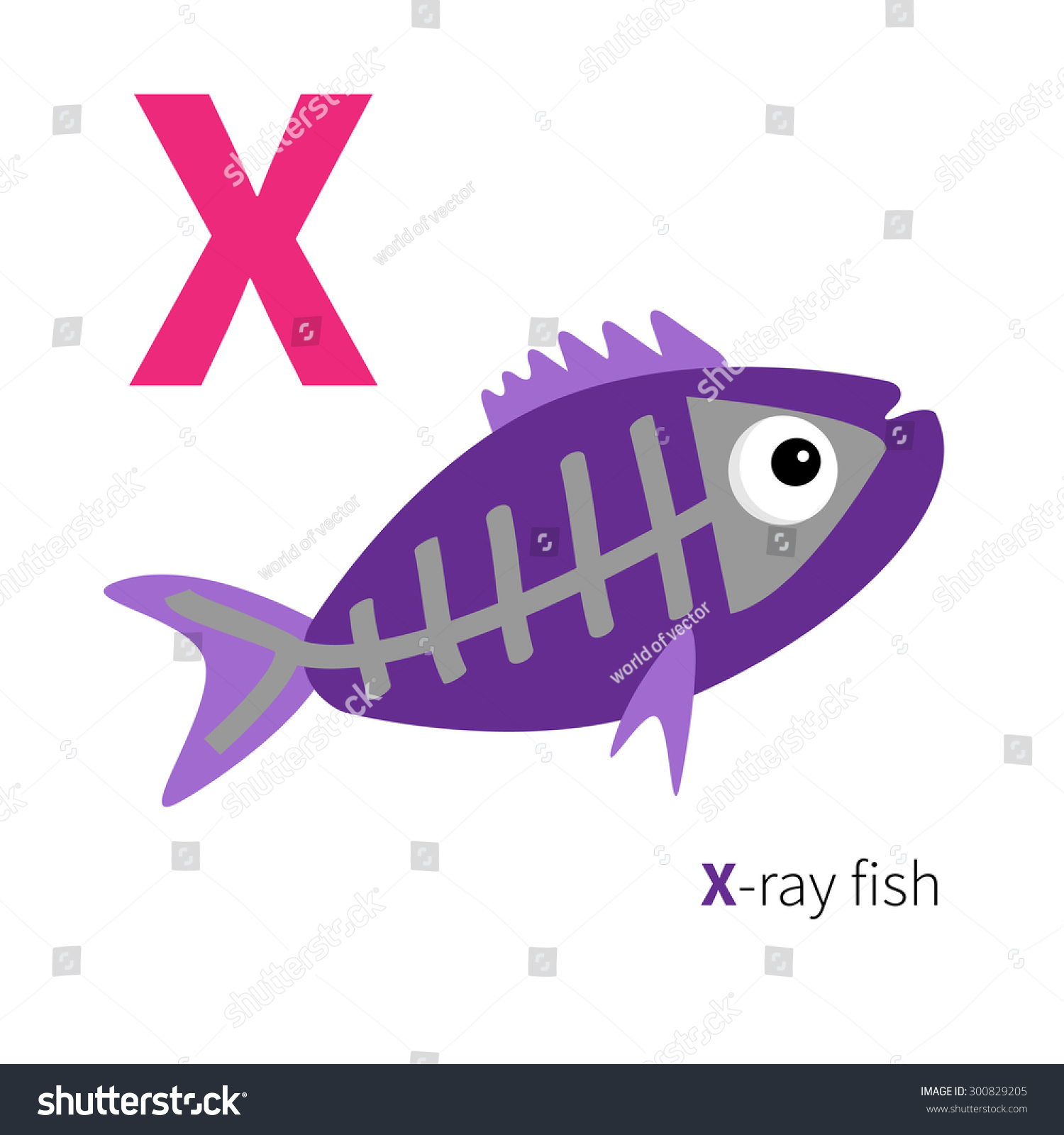 x ray fish clipart - photo #24