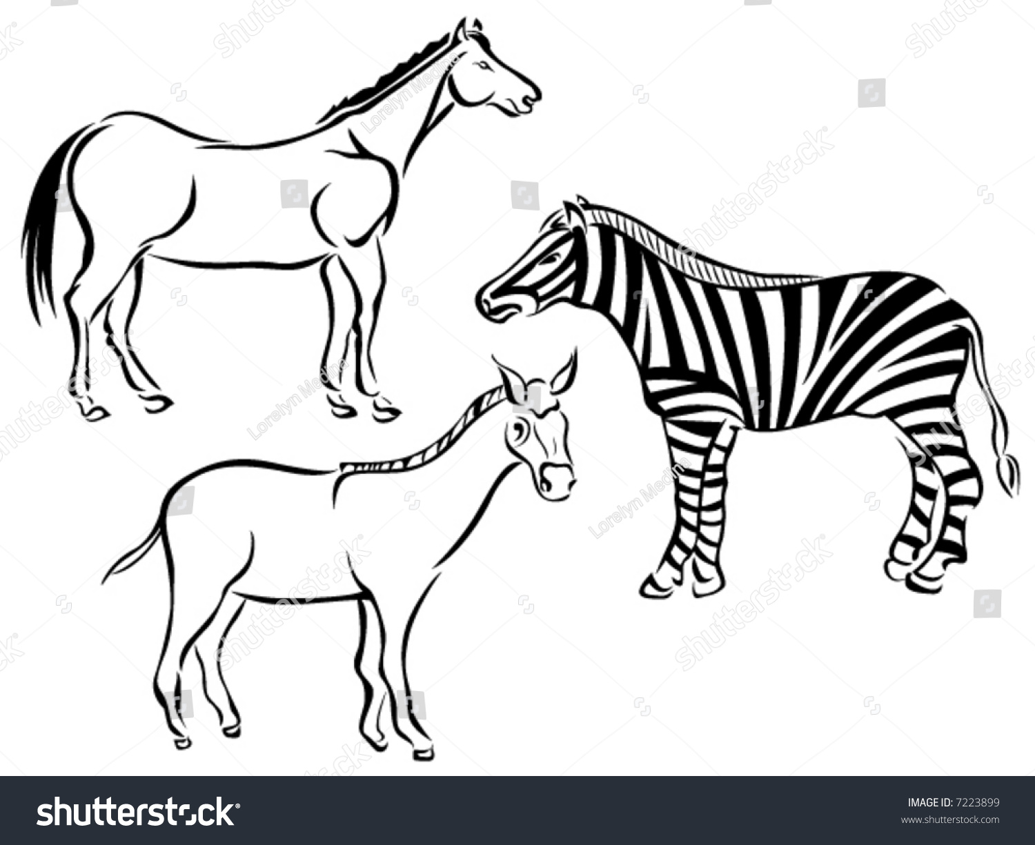 Line Art Vector Animal Series: Horses - 7223899 : Shutterstock