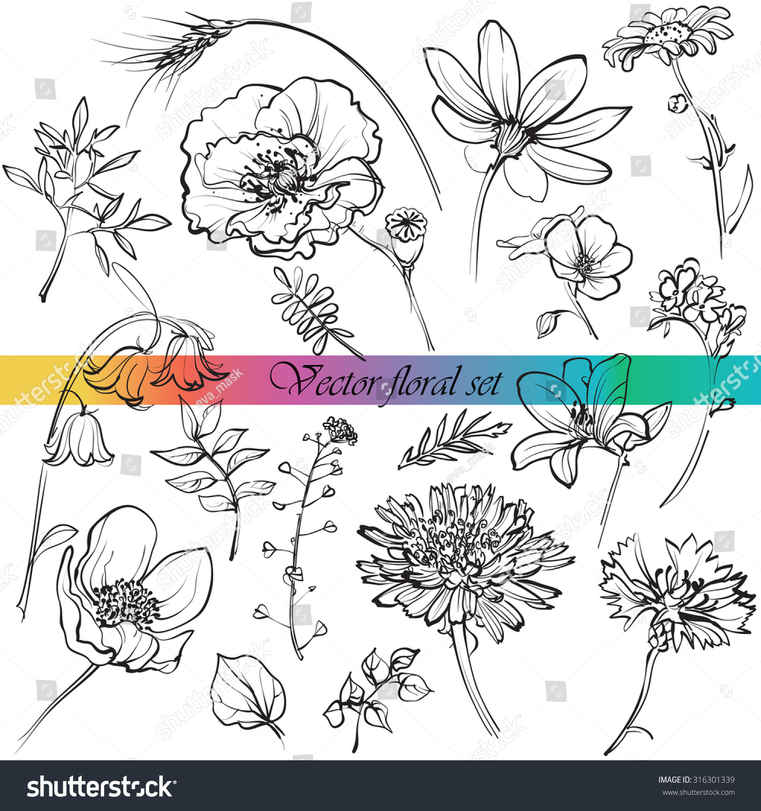 Line Drawings Of Wildflowers, Grasses And Leaves For Your Design, White