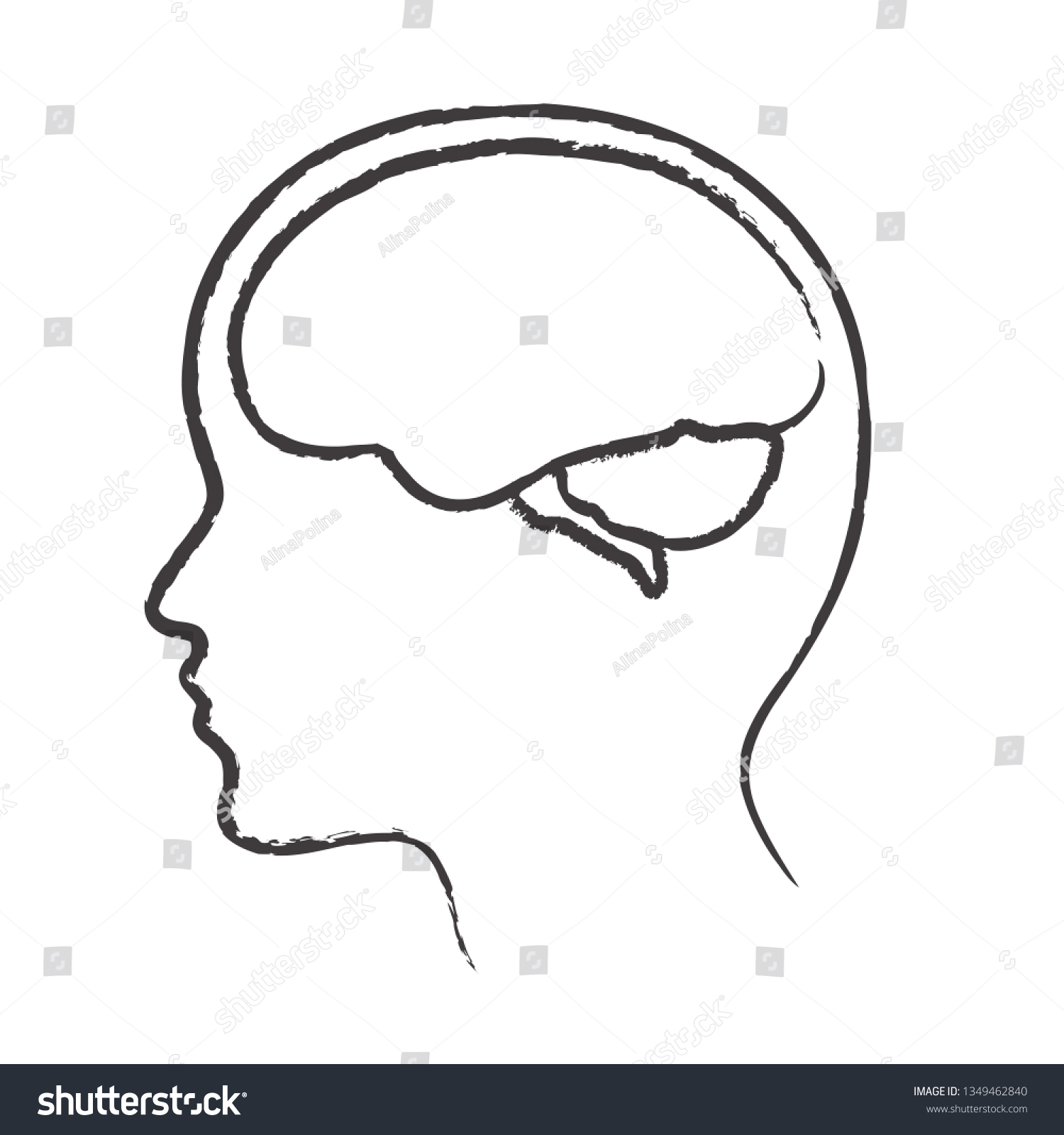 Linear Silhouette Head Brain Vector Illustration Vetor Stock Livre De