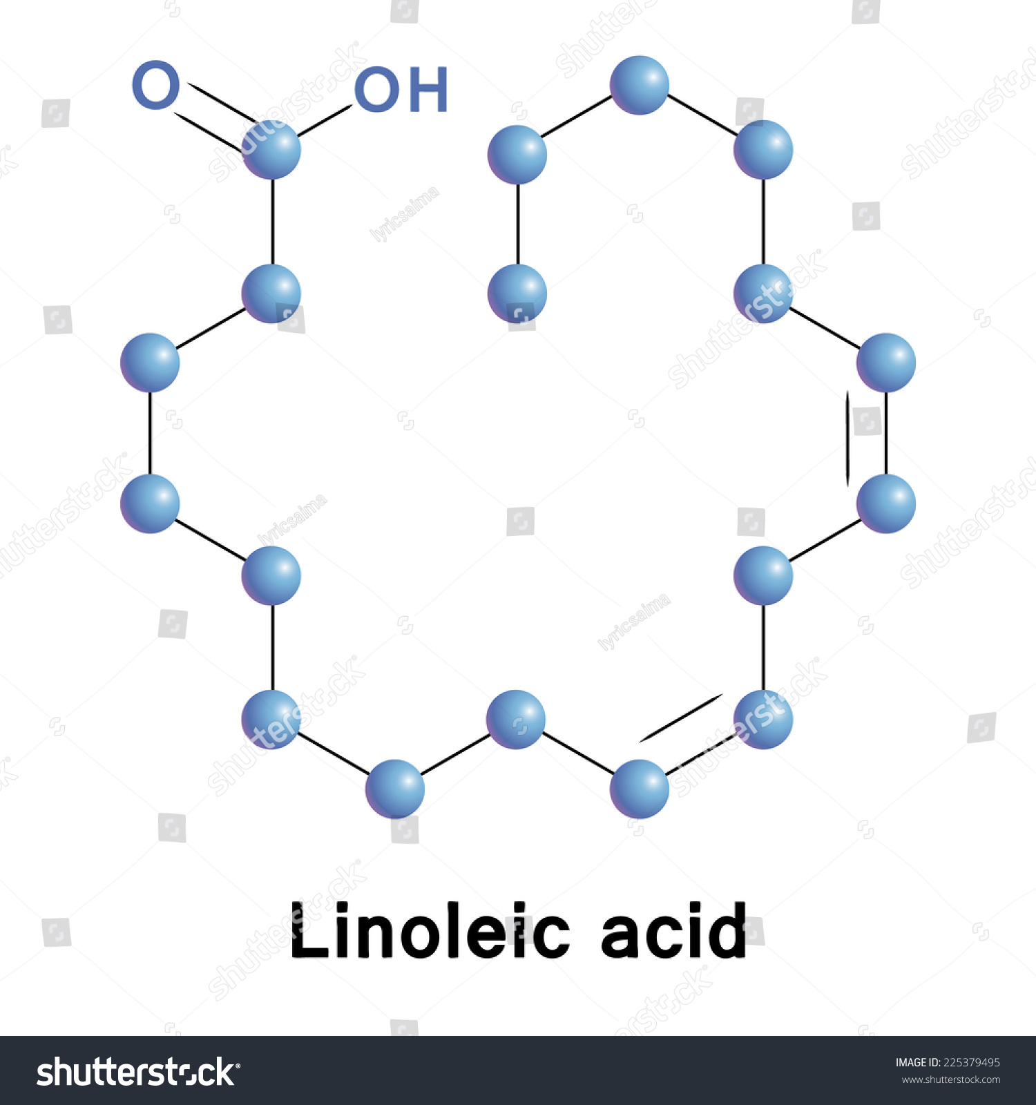 Linoleic Acid Chemical Skeletal Formula Medical Stock Vector 225379495 