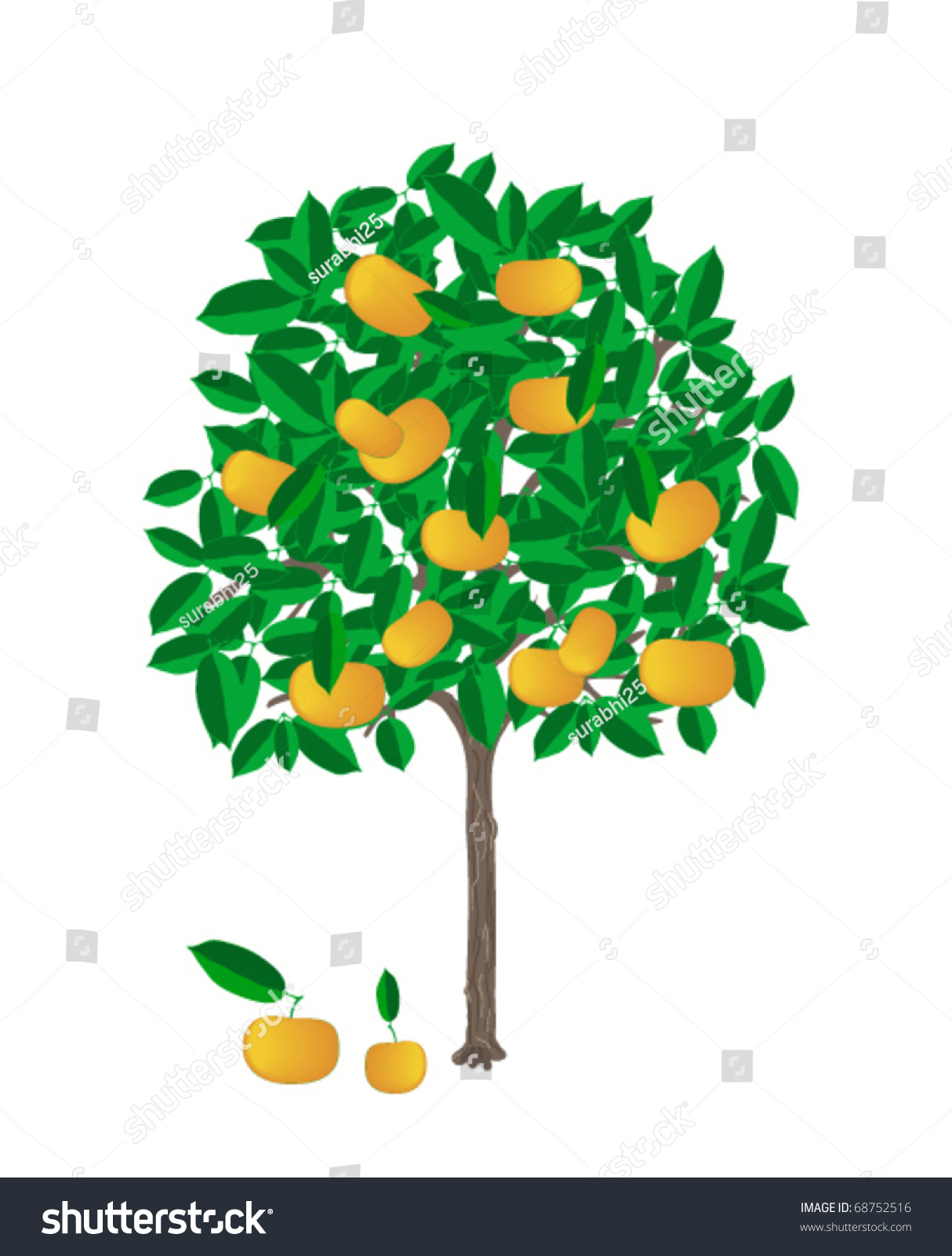 Little Tangerine Tree Ripe Tangerines On Stock Vector 68752516