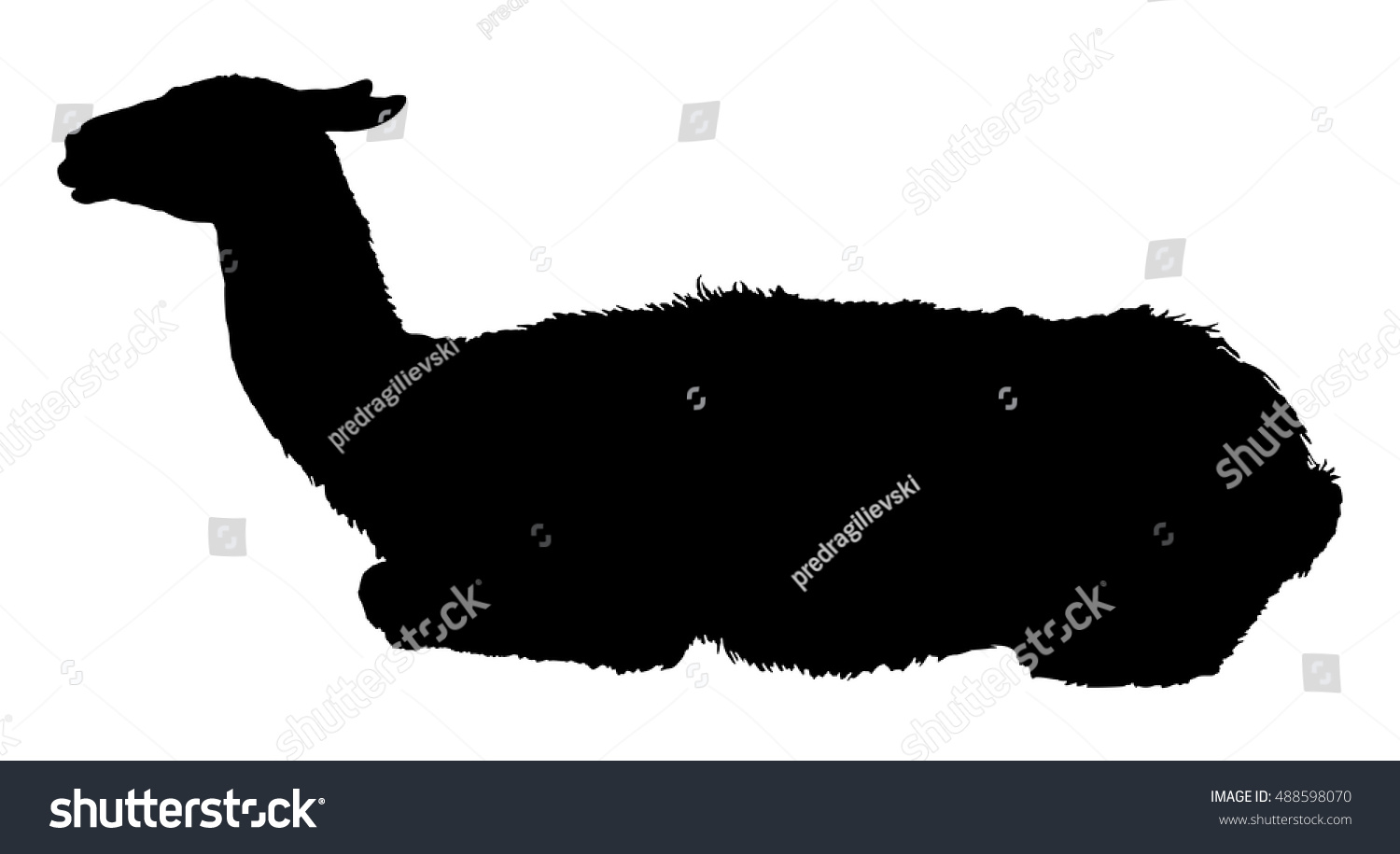 Llama Silhouette Stock Vector Illustration 488598070 Shutterstock