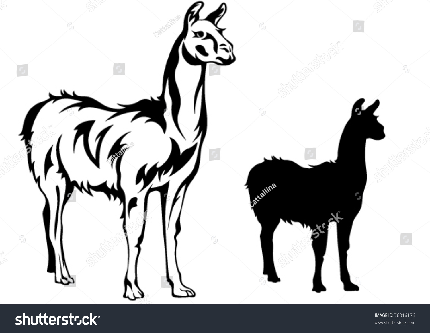 Llama Vector Illustration - 76016176 : Shutterstock