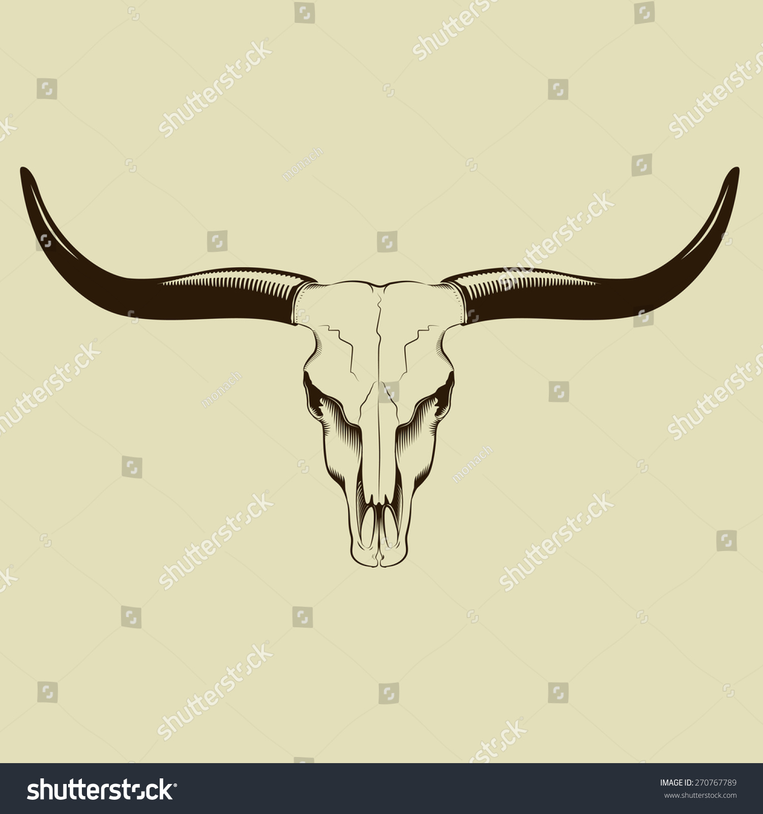 Longhorn Skull Stock Vector 270767789 : Shutterstock