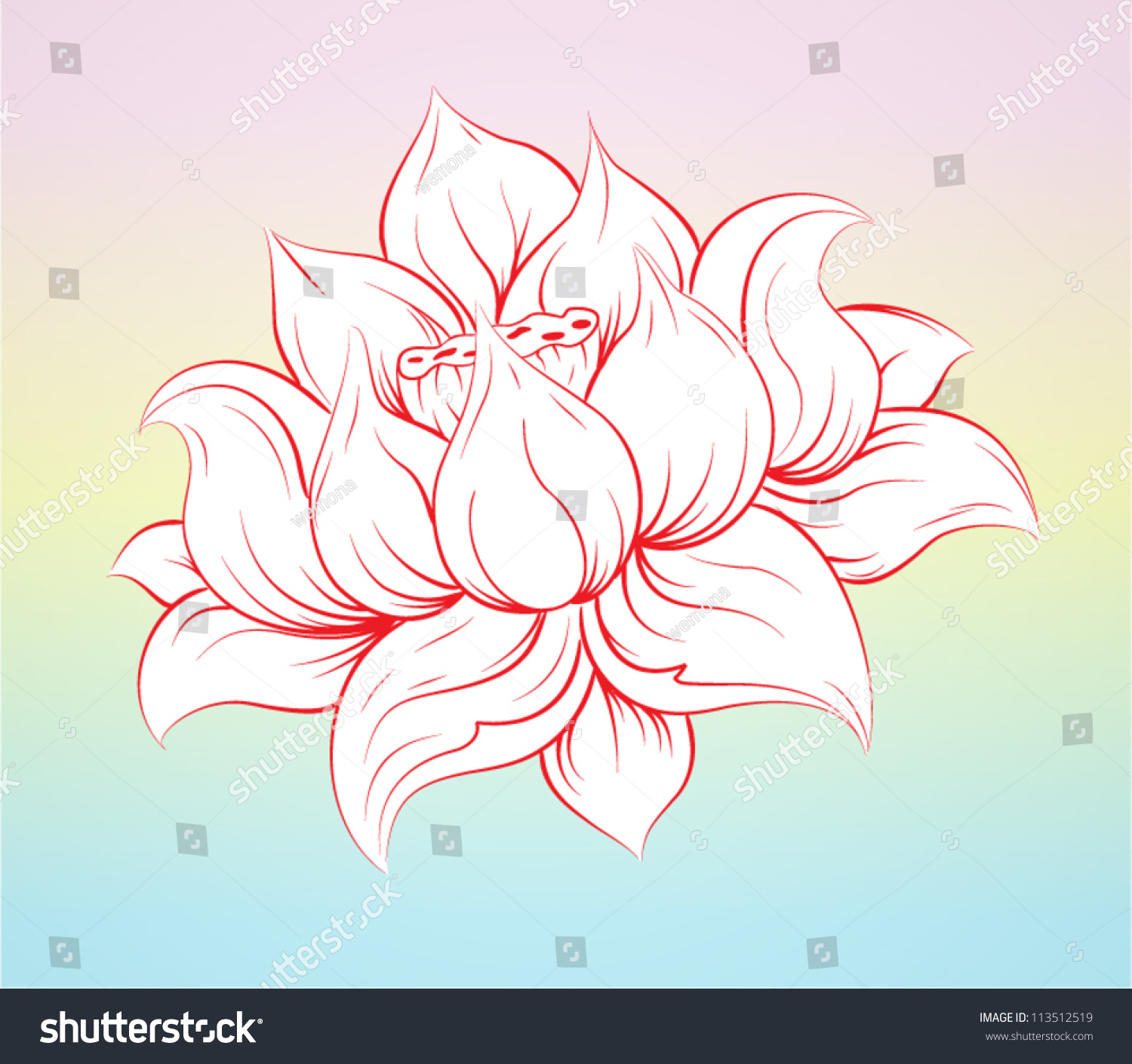 Lotus Flower Stock Vector Illustration 113512519 : Shutterstock