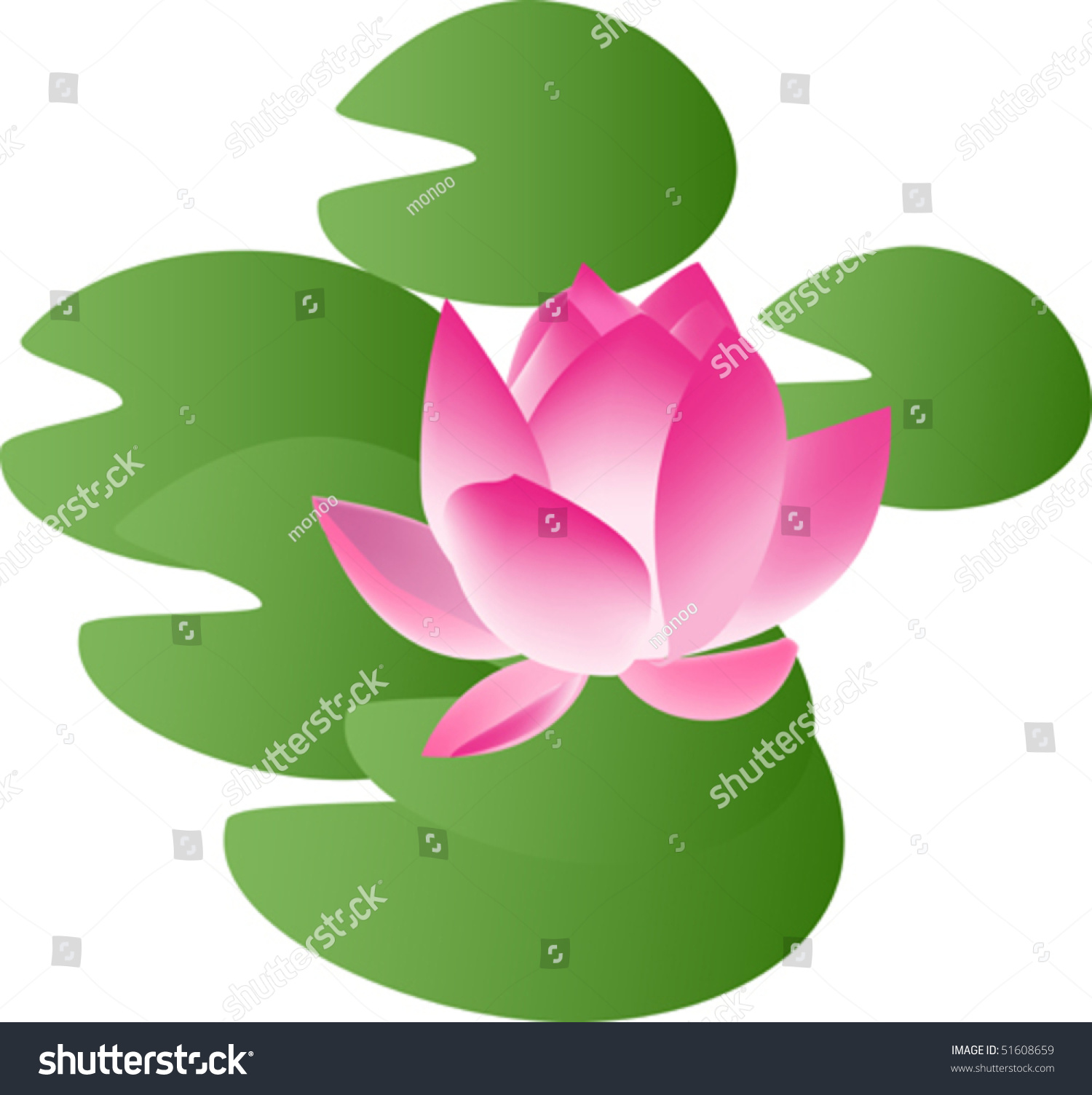 Lotus Flower Stock Vector Illustration 51608659 : Shutterstock