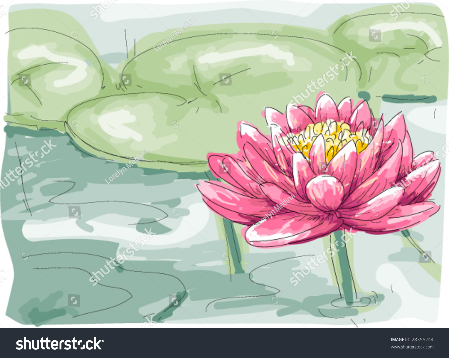 Lotus Flower - Vector - 28356244 : Shutterstock