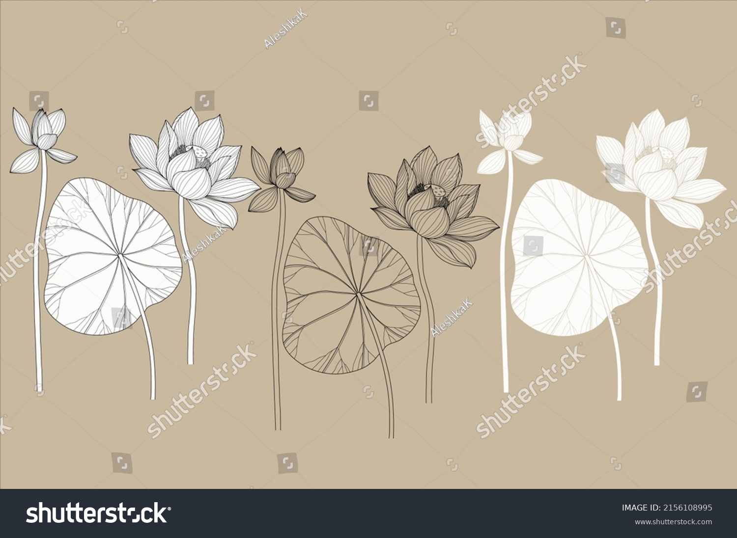 Lotus Sketch Floral Composition Lotus Flowers Stock Vector Royalty