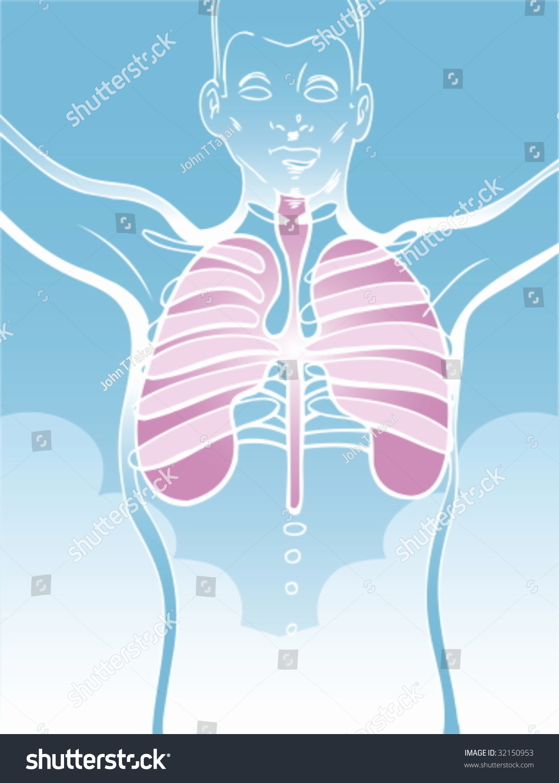 Lung Drawing Stock Vector Illustration 32150953 : Shutterstock