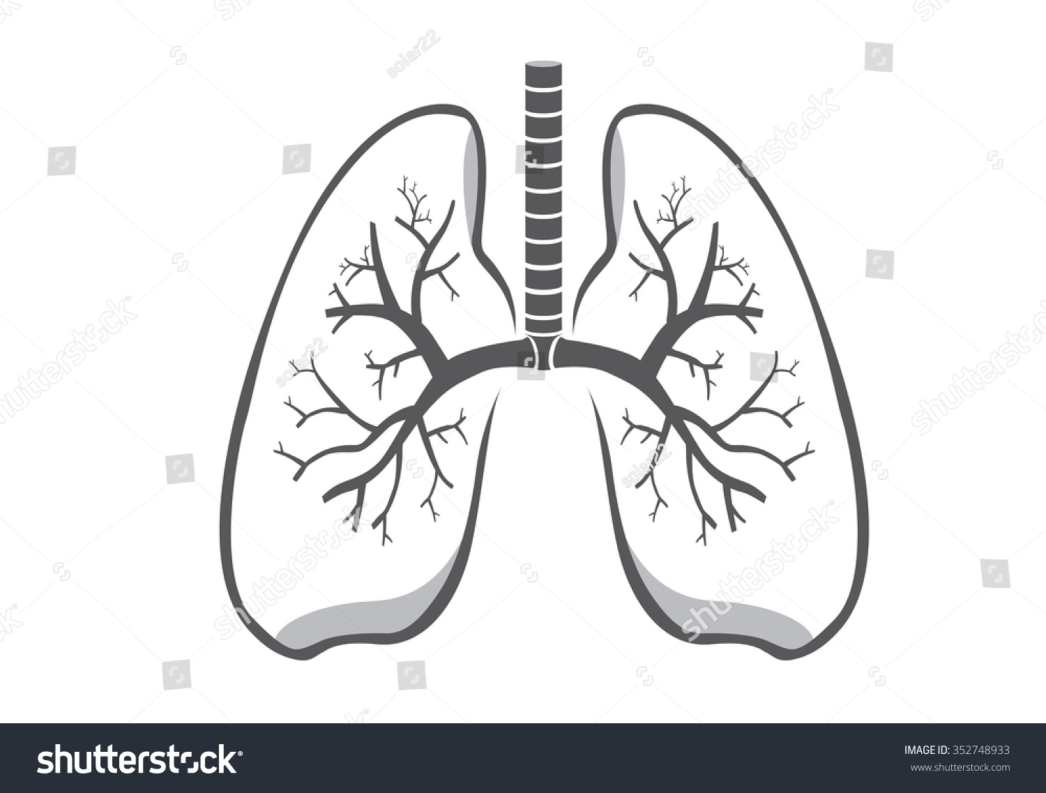 lung cancer logo clip art free - photo #47