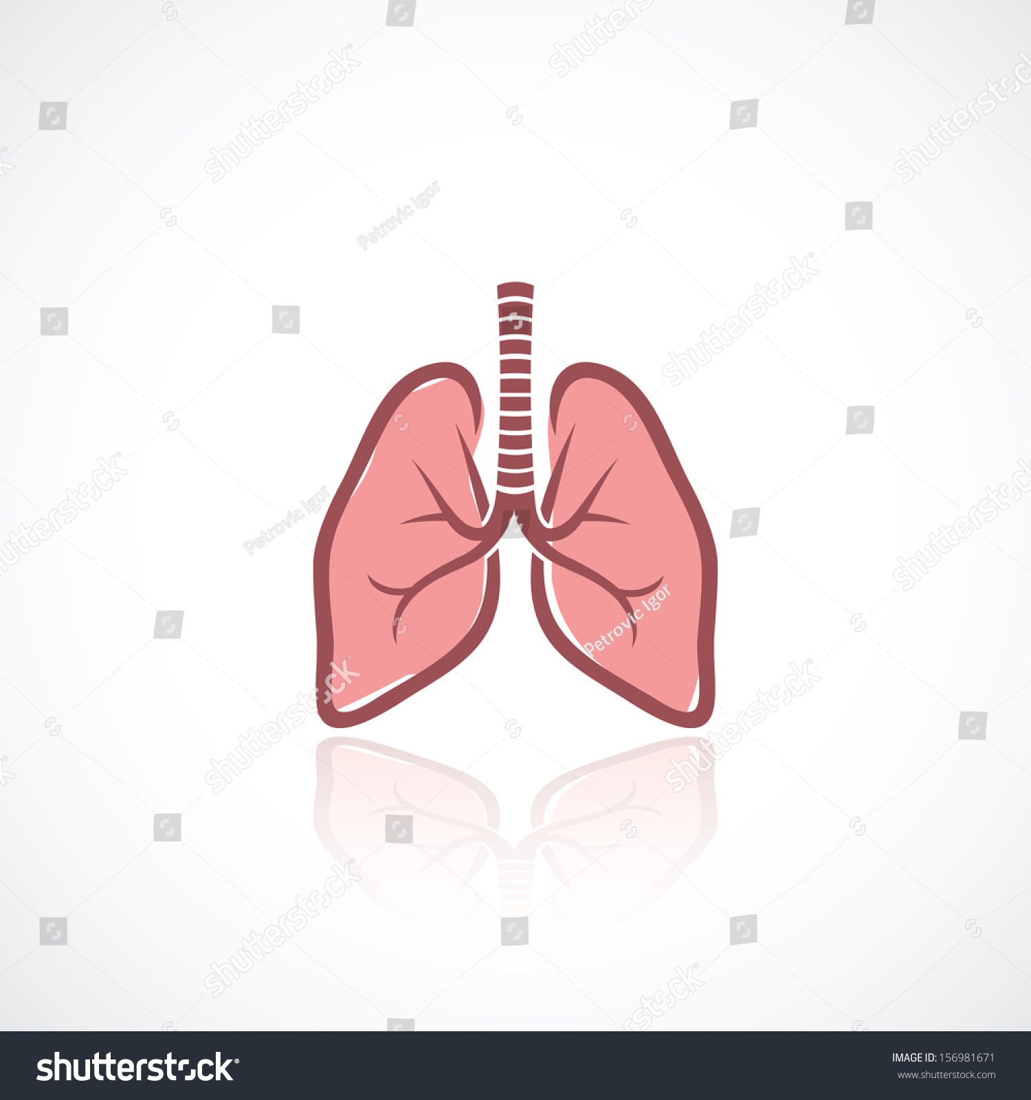 lungs clipart vector - photo #45