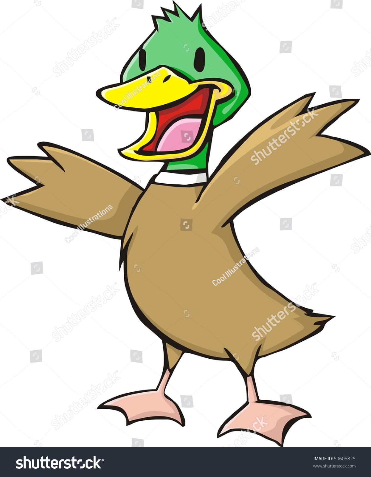 Mallard Duck Stock Vector 50605825 - Shutterstock