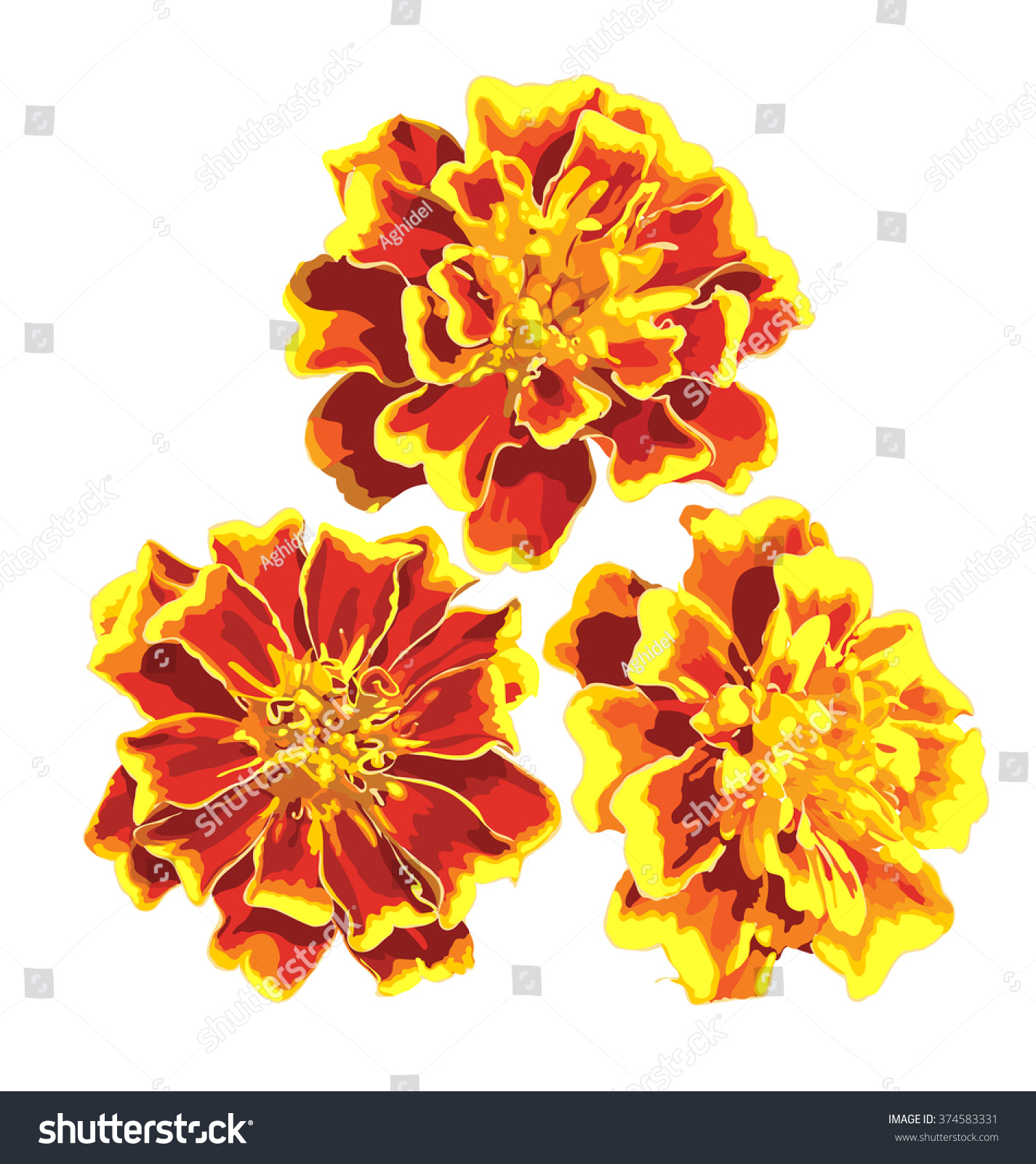 Marigold Flower SVG: A Comprehensive Guide to Creating Stunning Designs