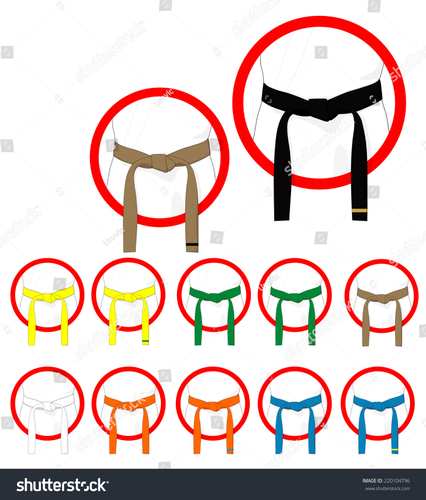 Martial Arts Belts Stock Vector Illustration 220104796 : Shutterstock