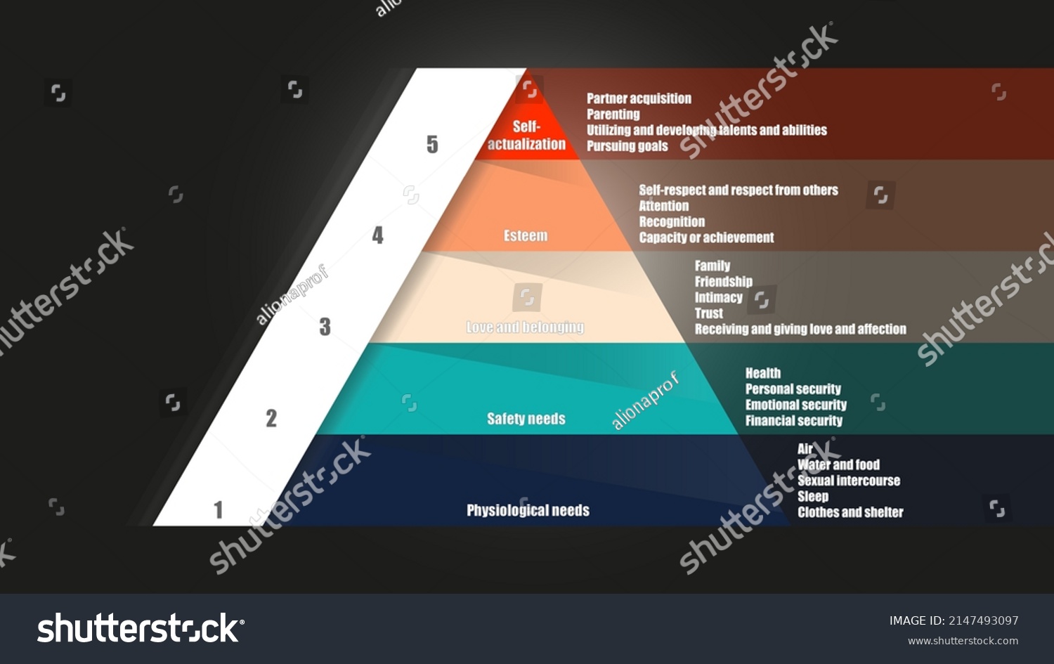 Vektor Stok Maslows Hierarchy Needs Abraham Maslow Pyramid Tanpa