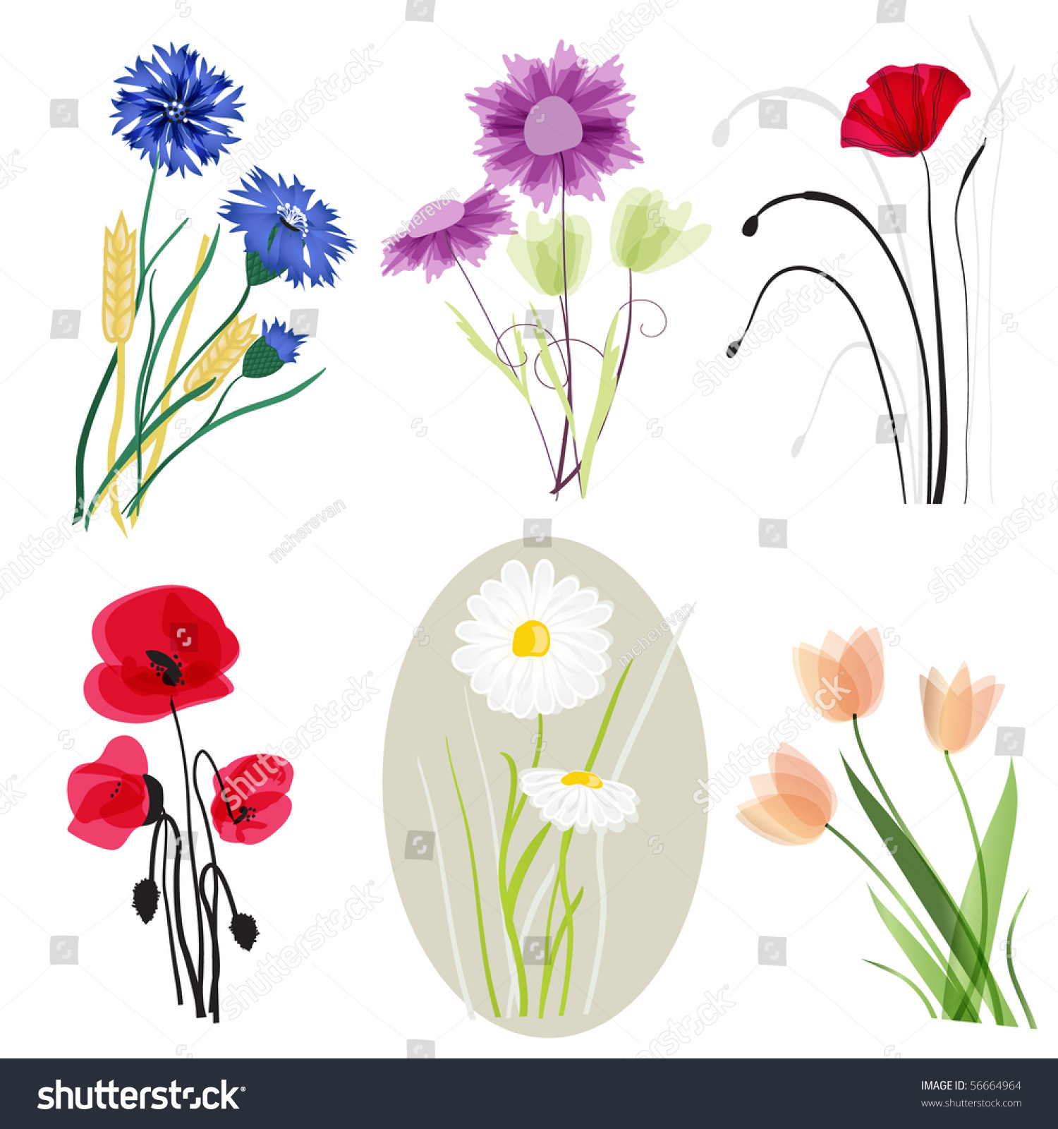 Meadow Flowers Set Stock Vector Illustration 56664964 : Shutterstock