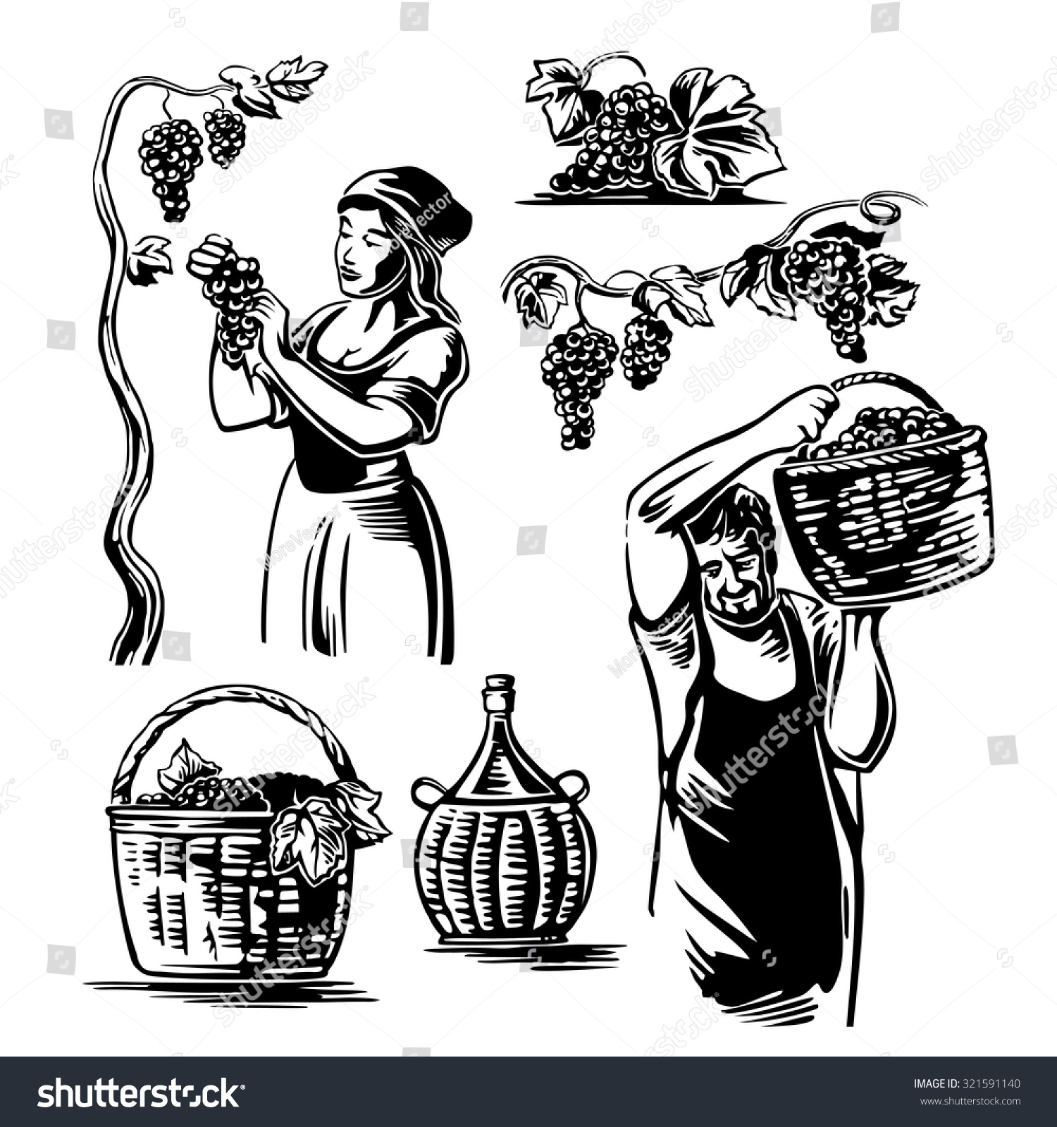 Men and women harvest the grapes in the vineyard Black and white vintage vector illustration for label poster icon web design Men and women harvest the grapes in the vineyard Black and white vintage vector illustration for label poster icon web design