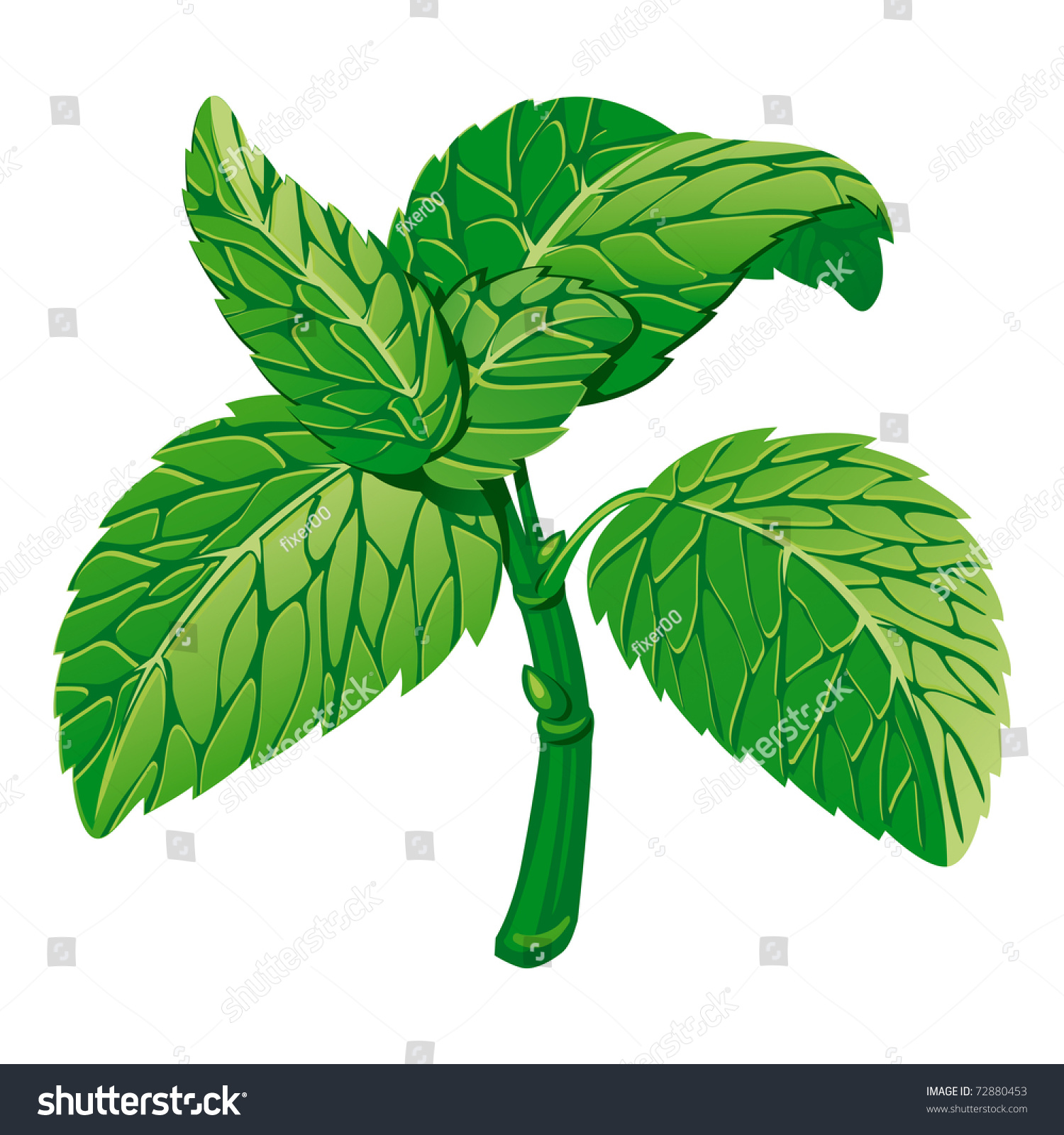 free clip art mint leaf - photo #40