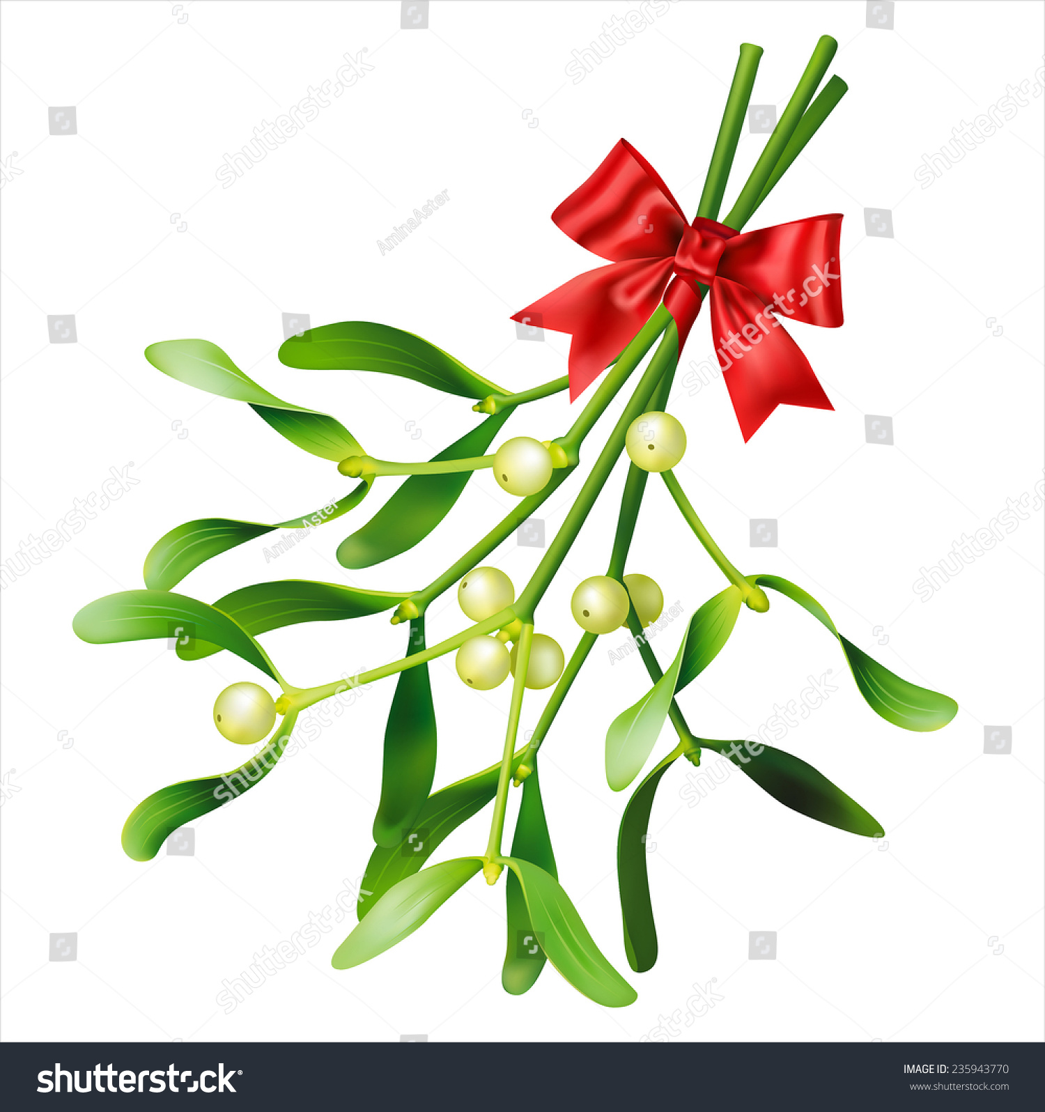 Mistletoe On White Vector Eps 10 Stock Vector 235943770 - Shutterstock