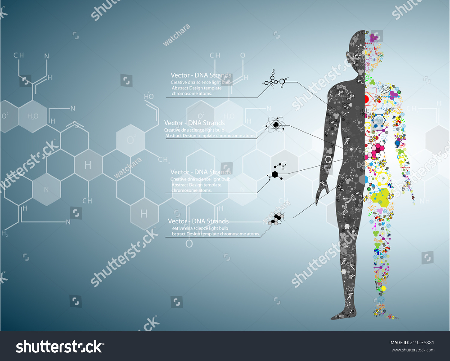 Molecule Body Concept Of The Human Dna Eps Stock Vector Illustration Shutterstock