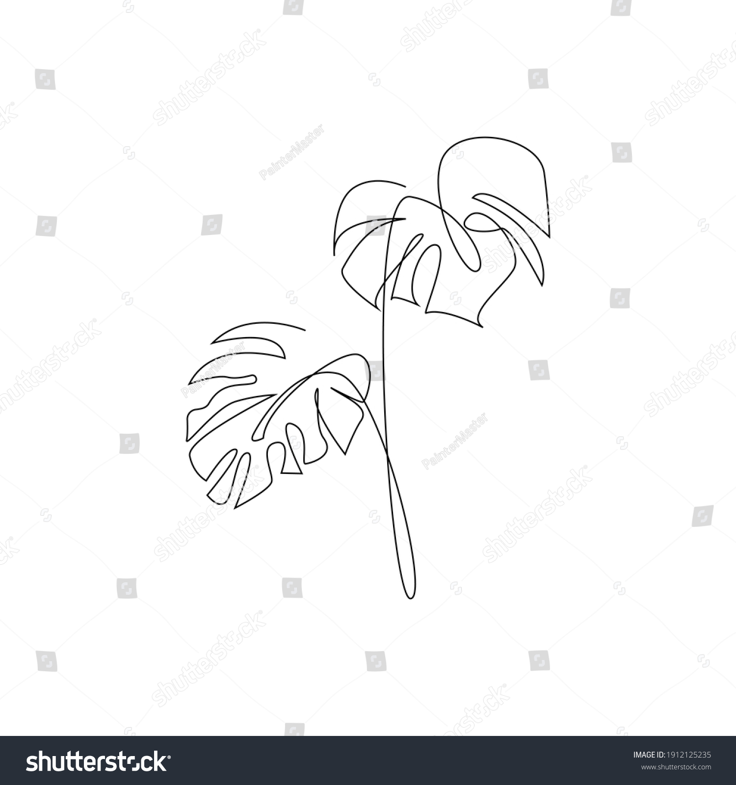 Monstera Leaf Line Art Contour Drawing Stock Vector Royalty Free