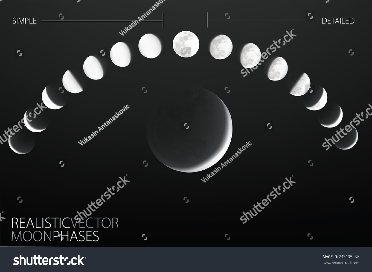 Moon Phases , Realistic And Simple Vector Template 243195436