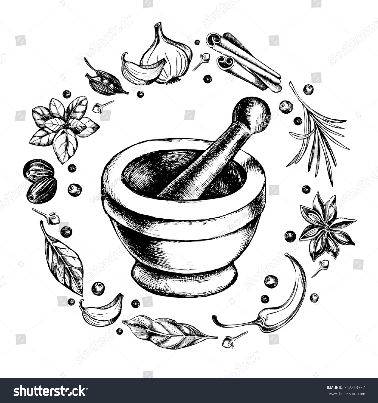 Mortar And Pestle In A Wreath Of Spices And Herbs Hand Drawn Vector